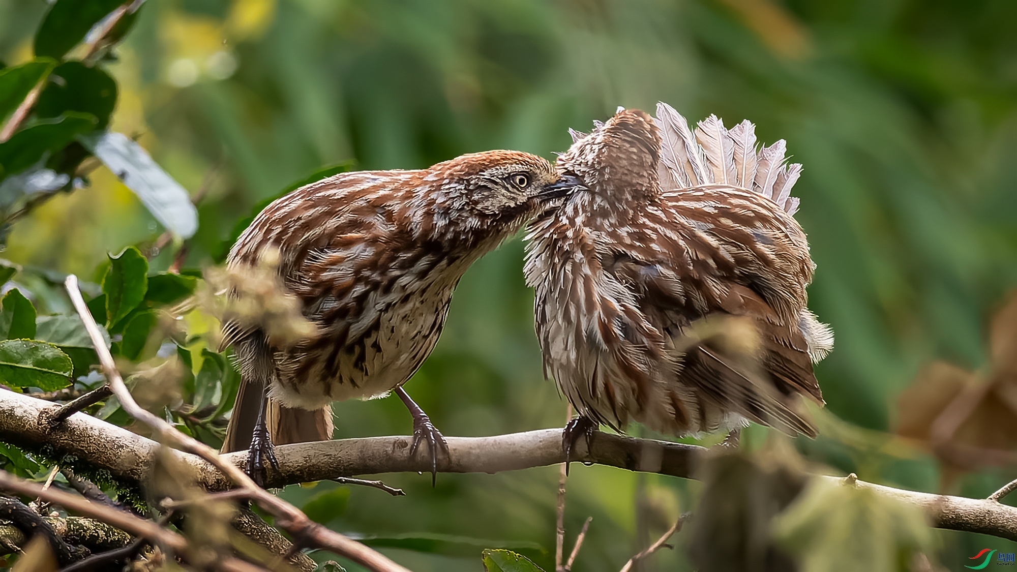 DxO_DeepPRIME__8292098-ORF_DxO_DeepPRIME ���� 2.jpg