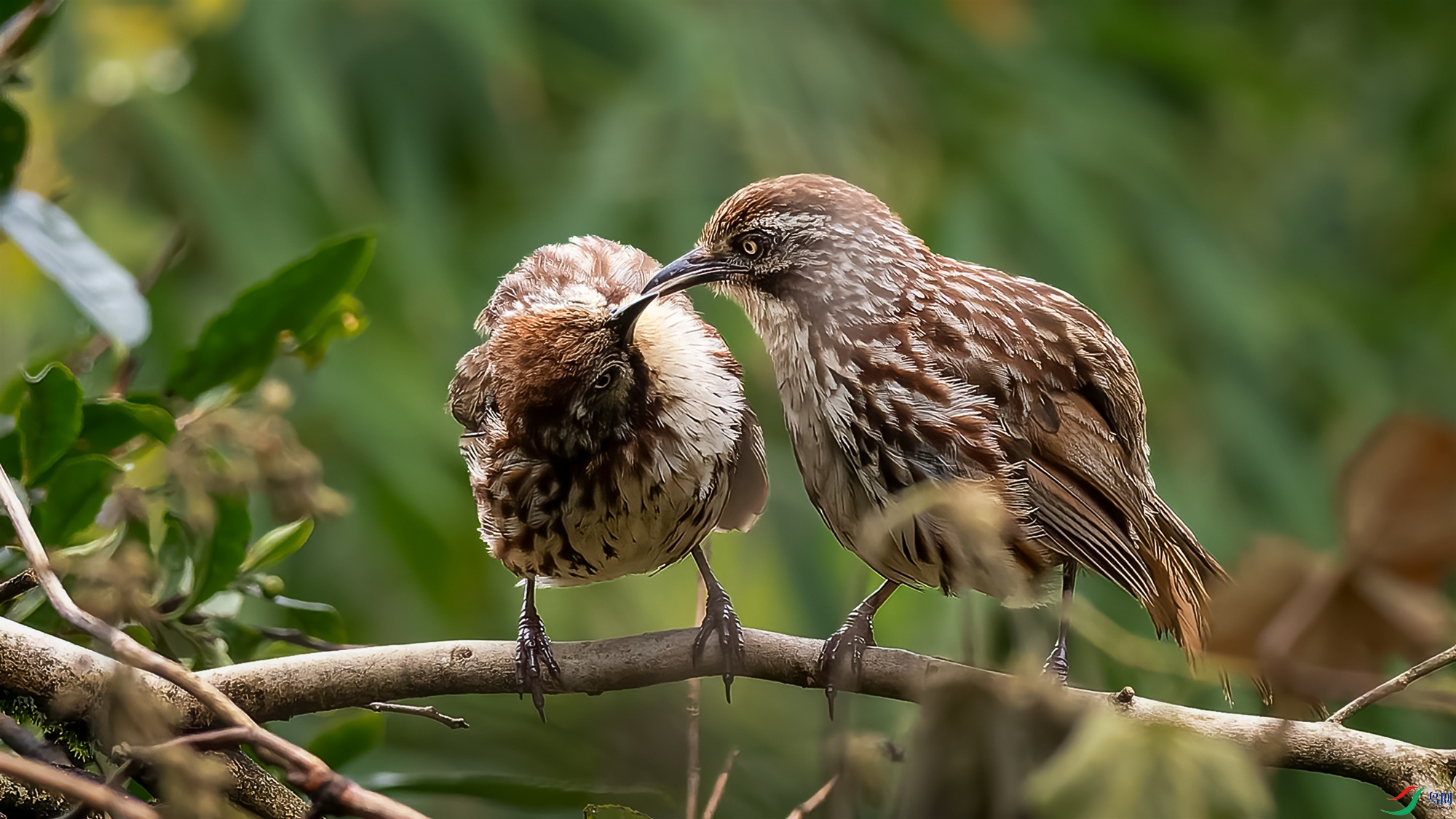 DxO_DeepPRIME__8292225-ORF_DxO_DeepPRIME ���� 2.jpg