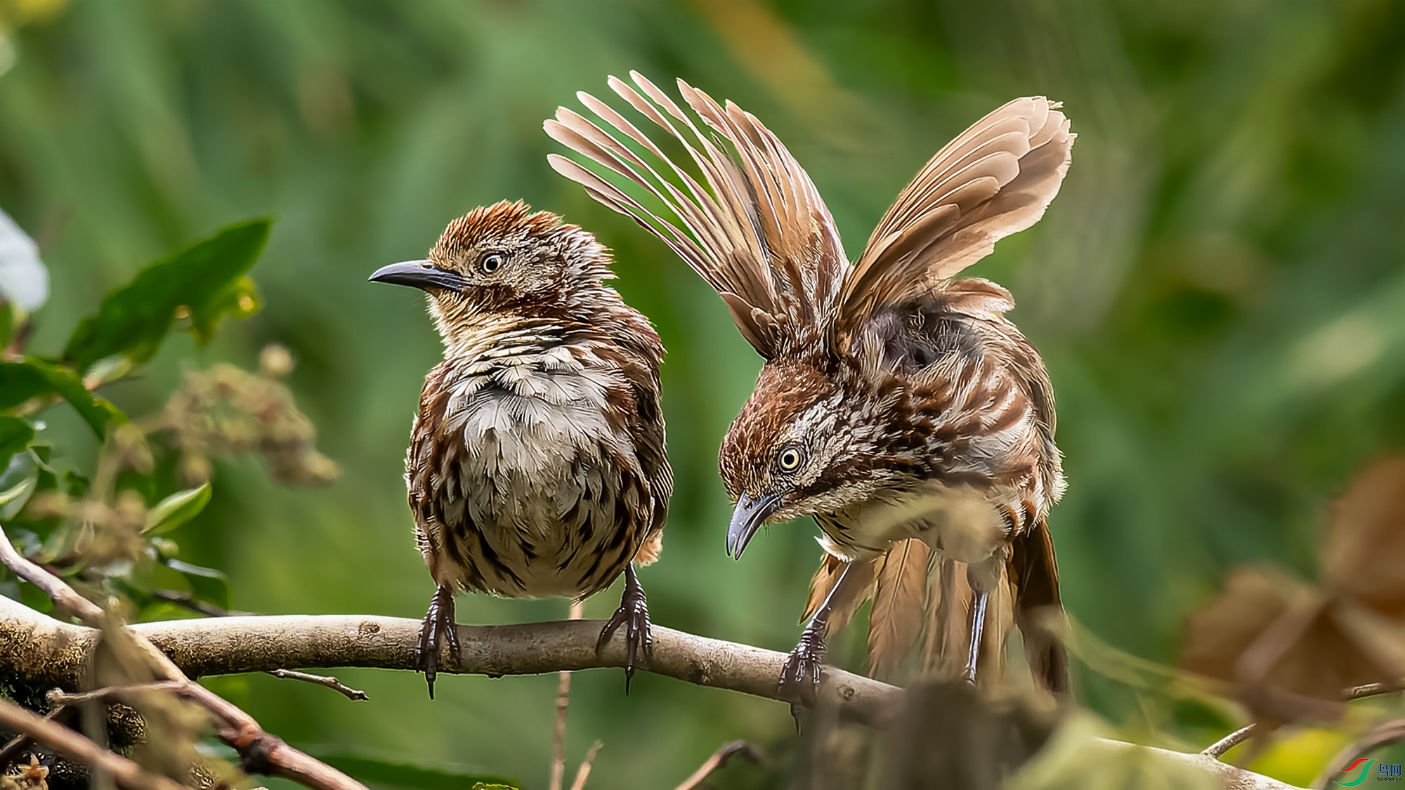 DxO_DeepPRIME__8292353-ORF_DxO_DeepPRIME ���� 2.jpg