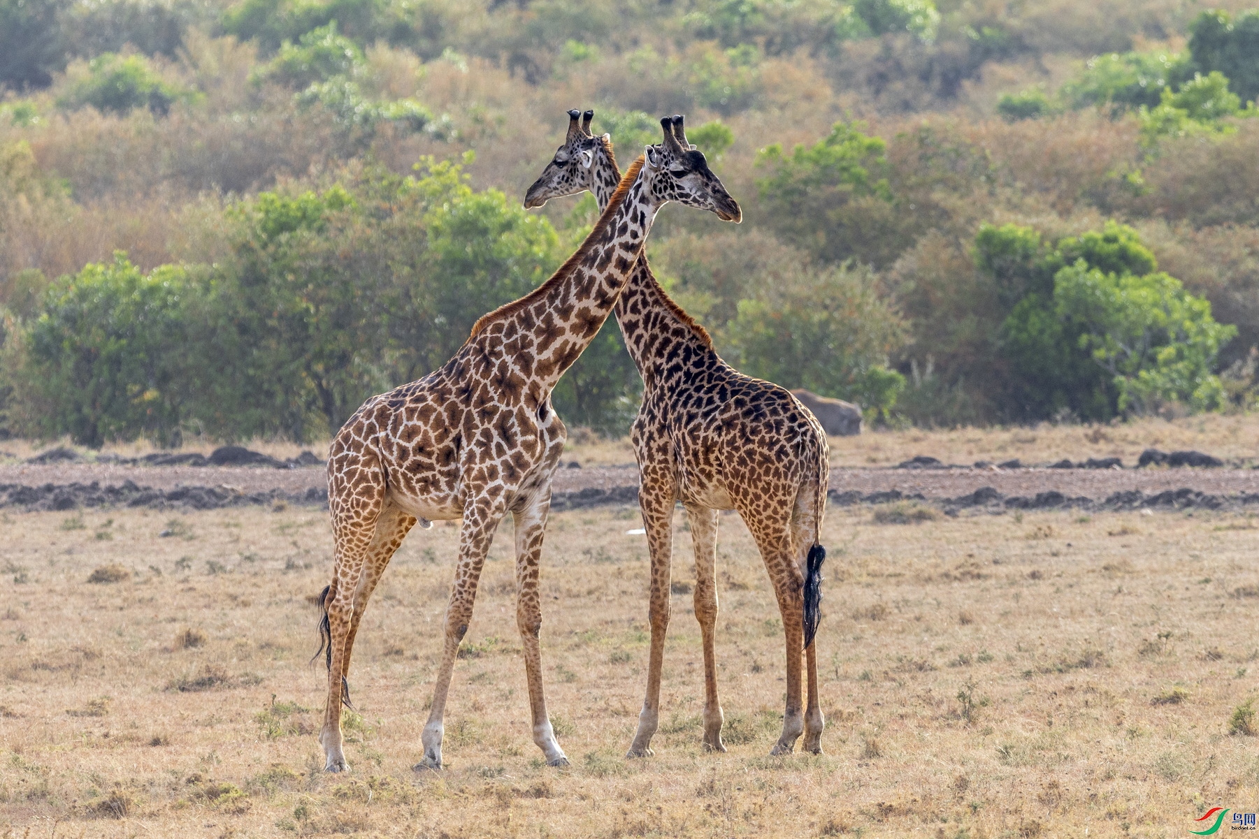 _72A0417-1_������.JPG