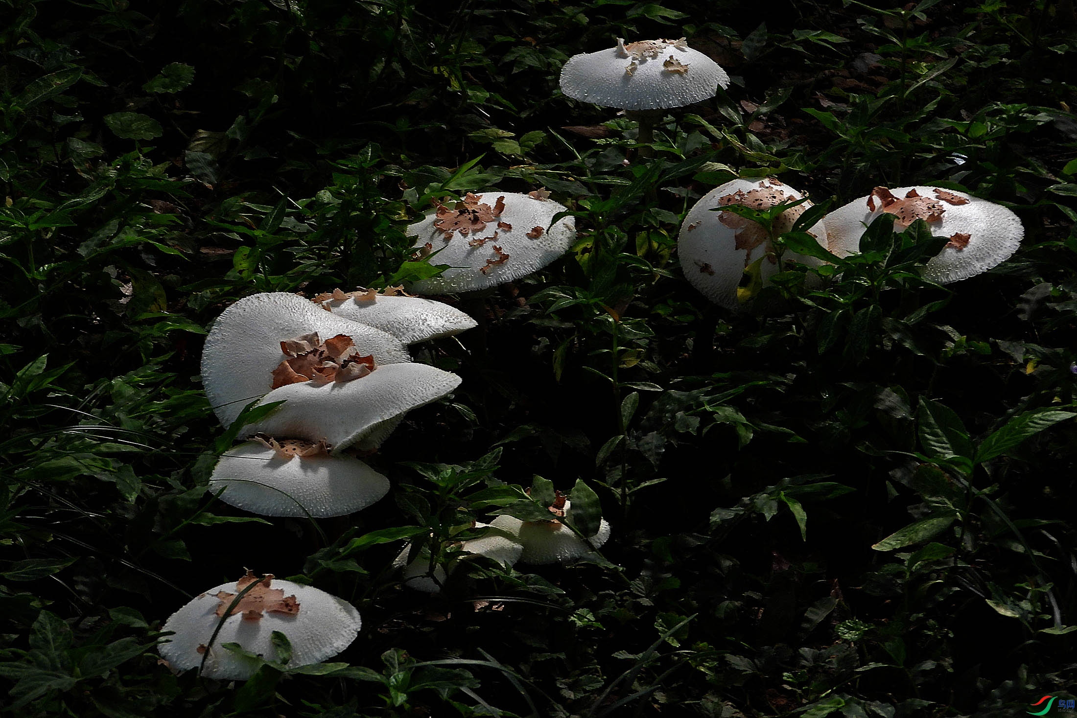 DSCN9407.JPG