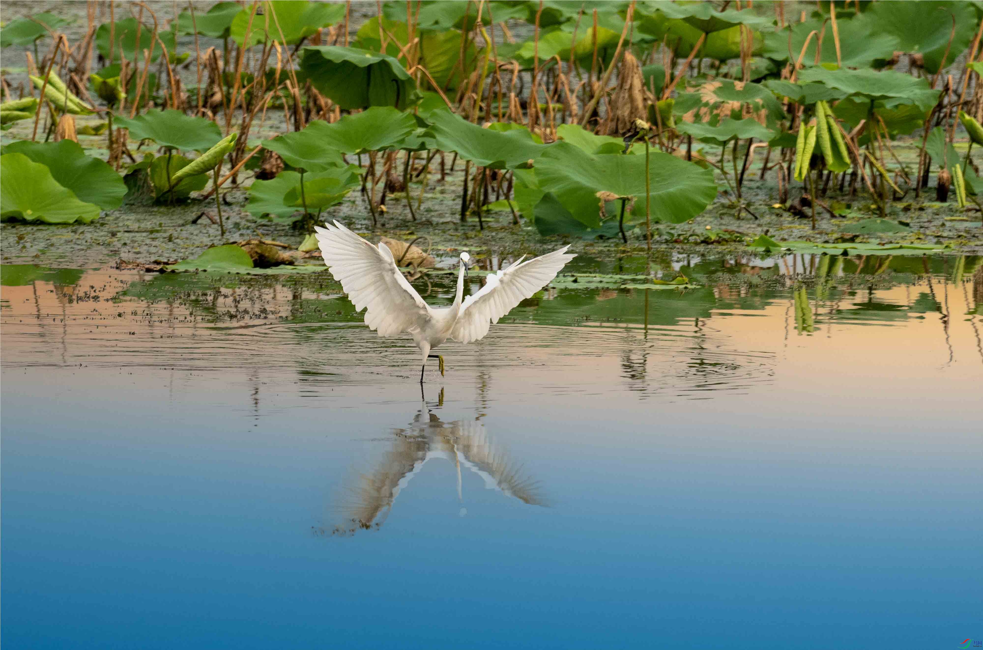 P9023336 --����.jpg