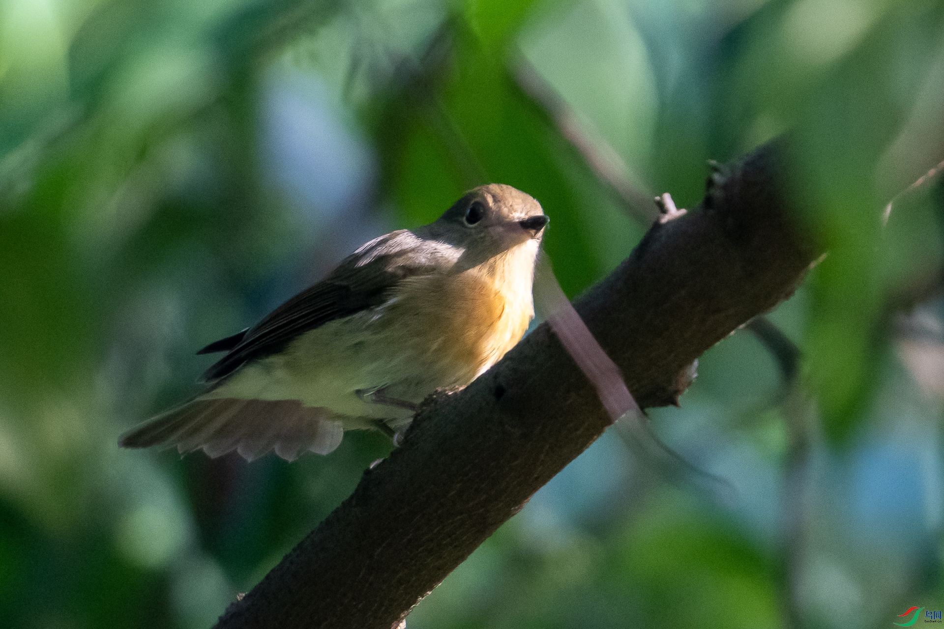 DSC01124-2.jpg