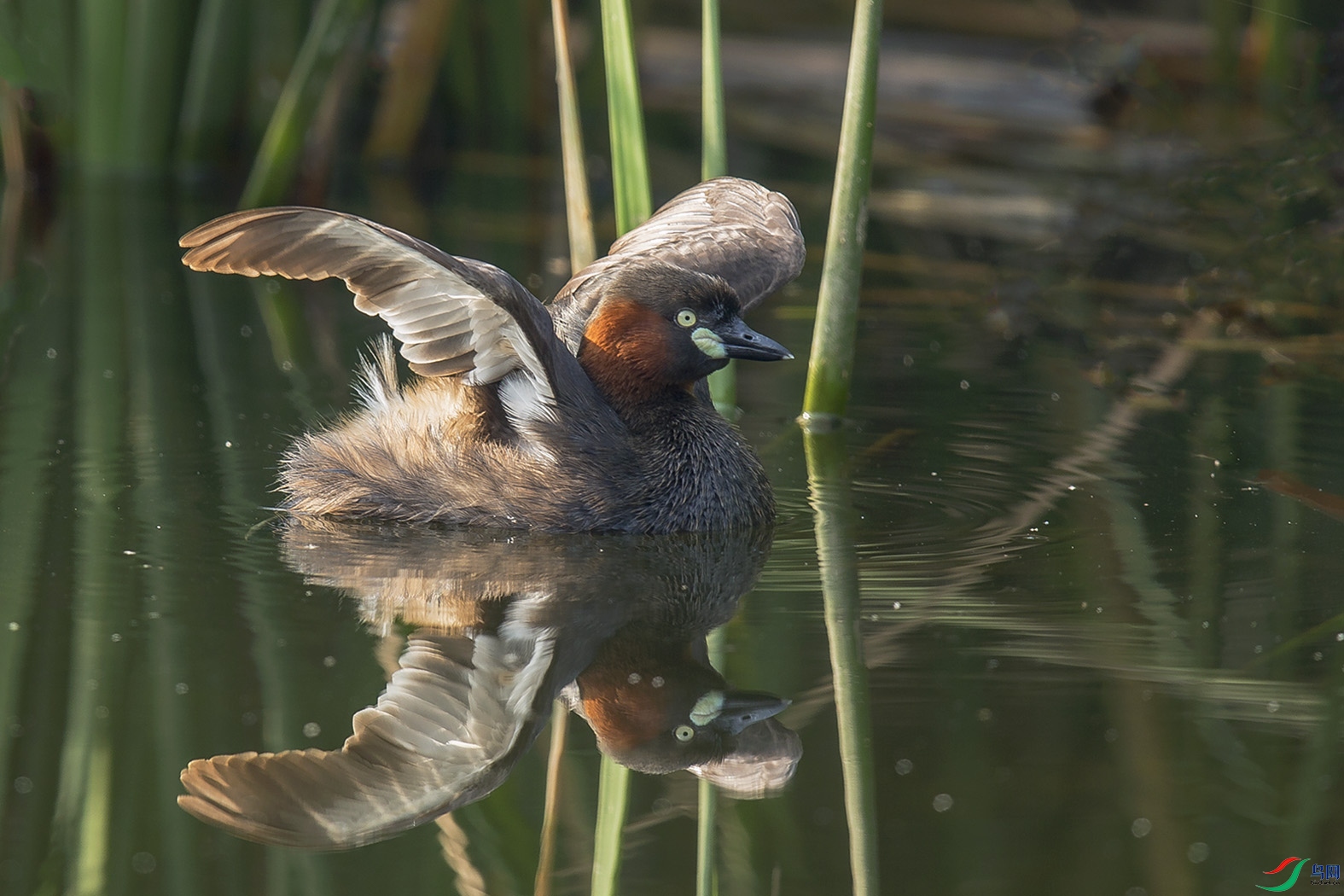 _MG_0892 ����.jpg