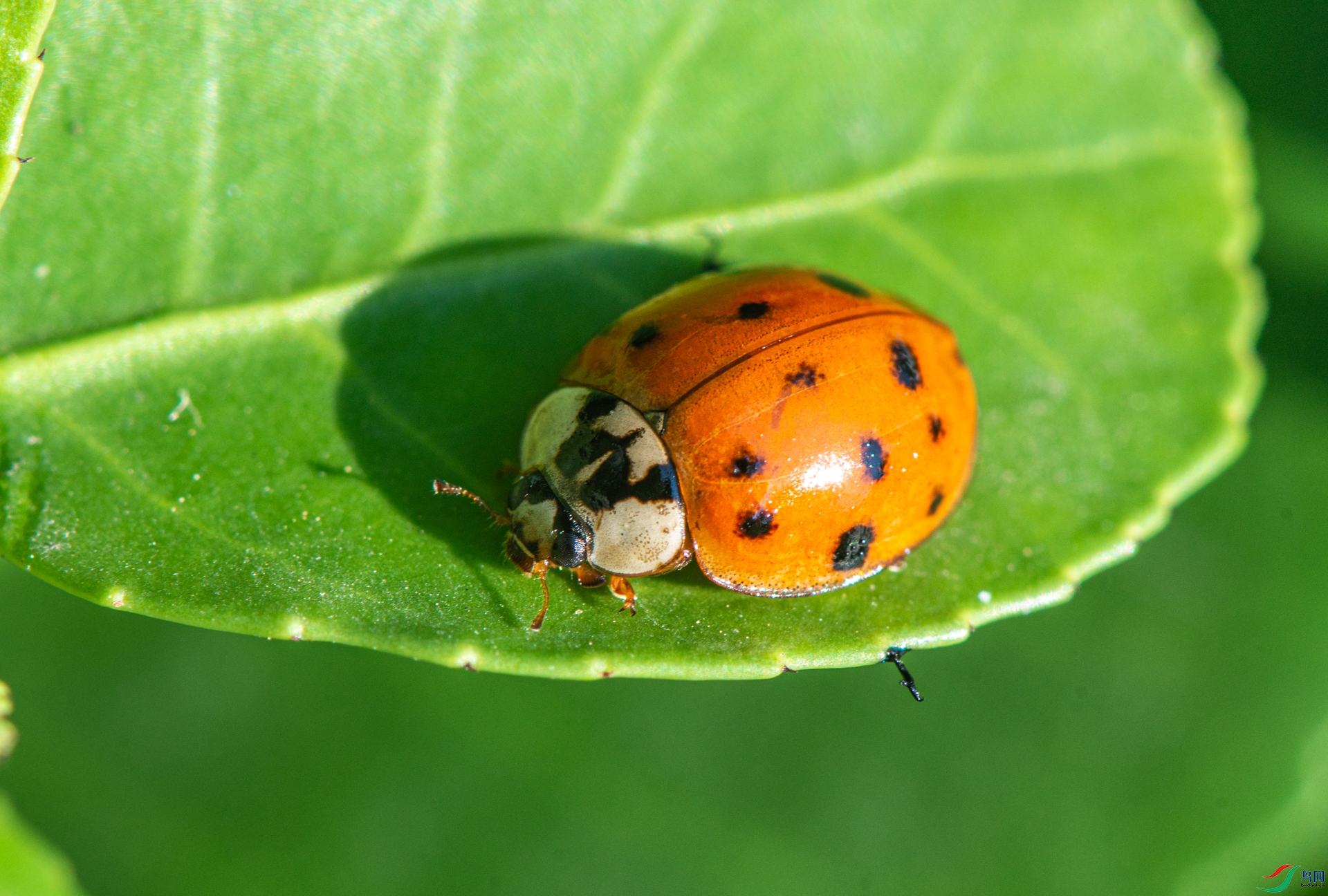 _DSC1823.jpg