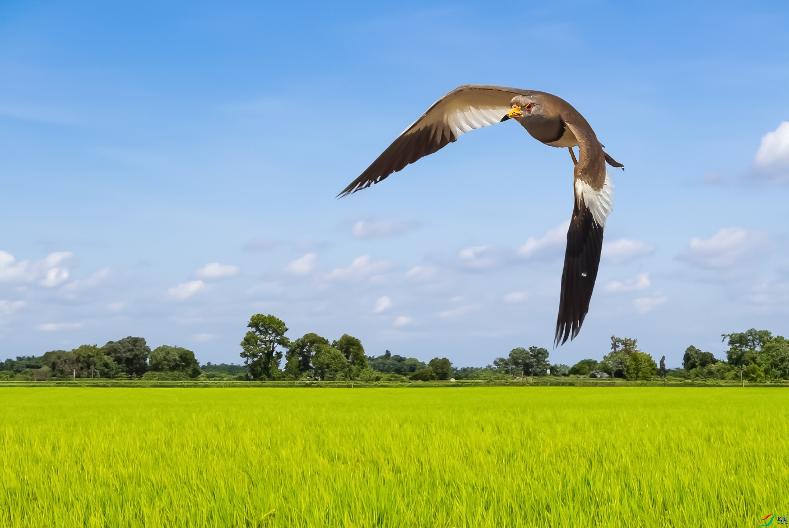 A56I2009 ����.jpg