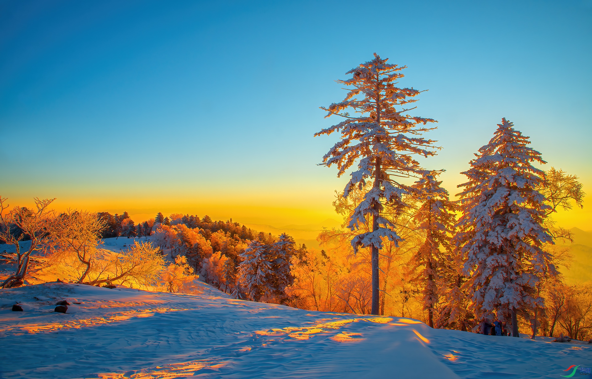 _DSC3719 - ��ͺ���ճ�.jpg