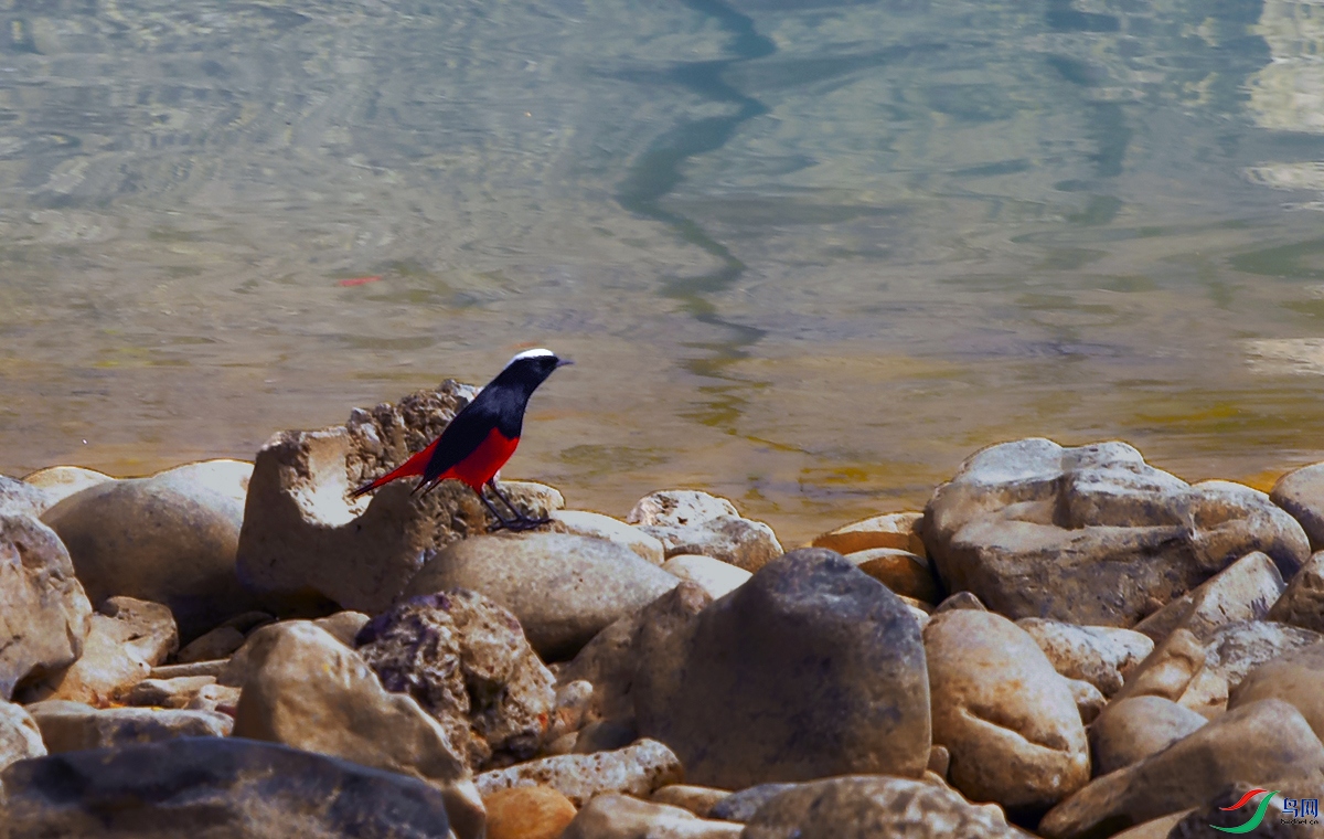 DSC_0617.JPG
