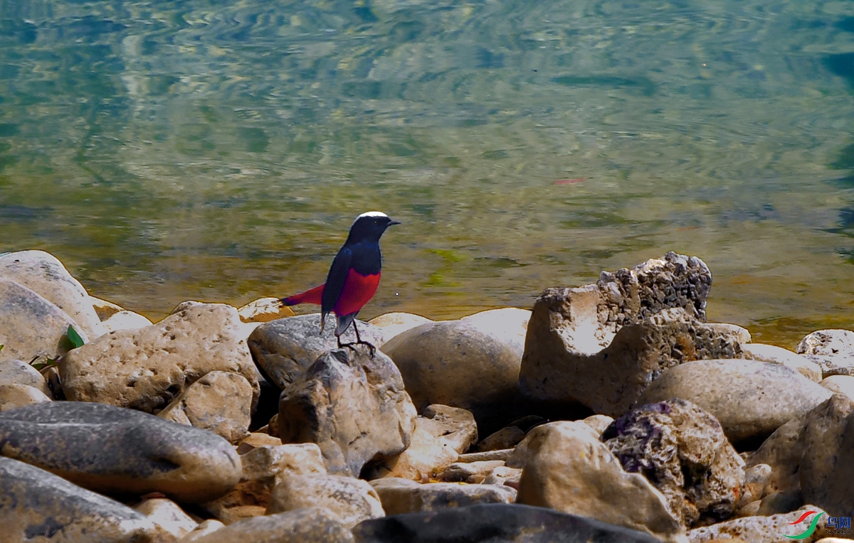 DSC_0610.JPG