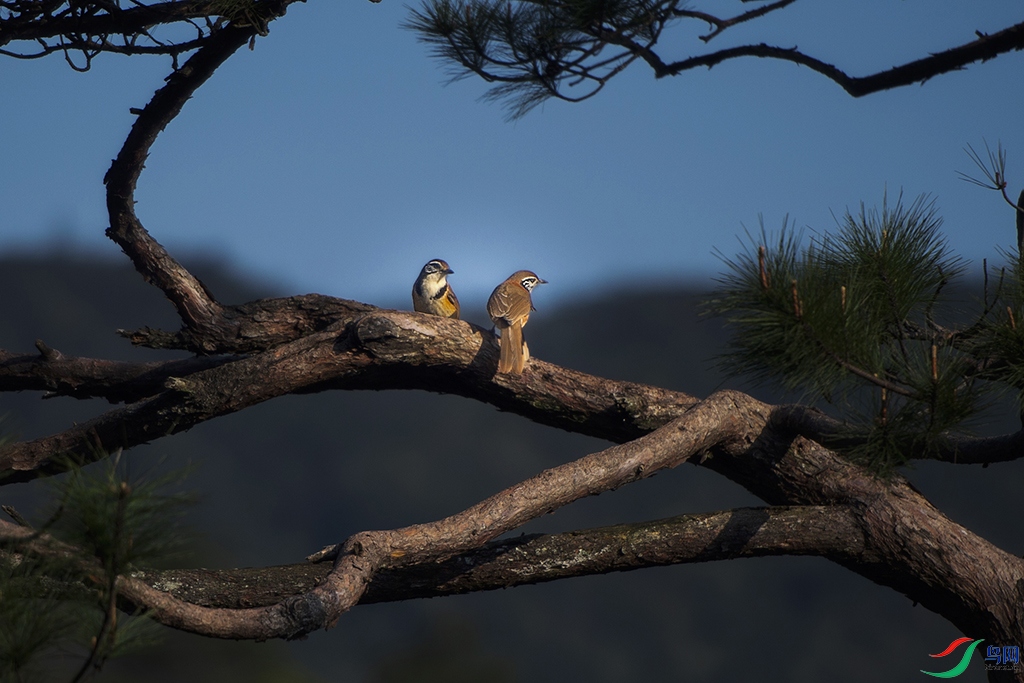 DSC_2386 ���� 2.jpg