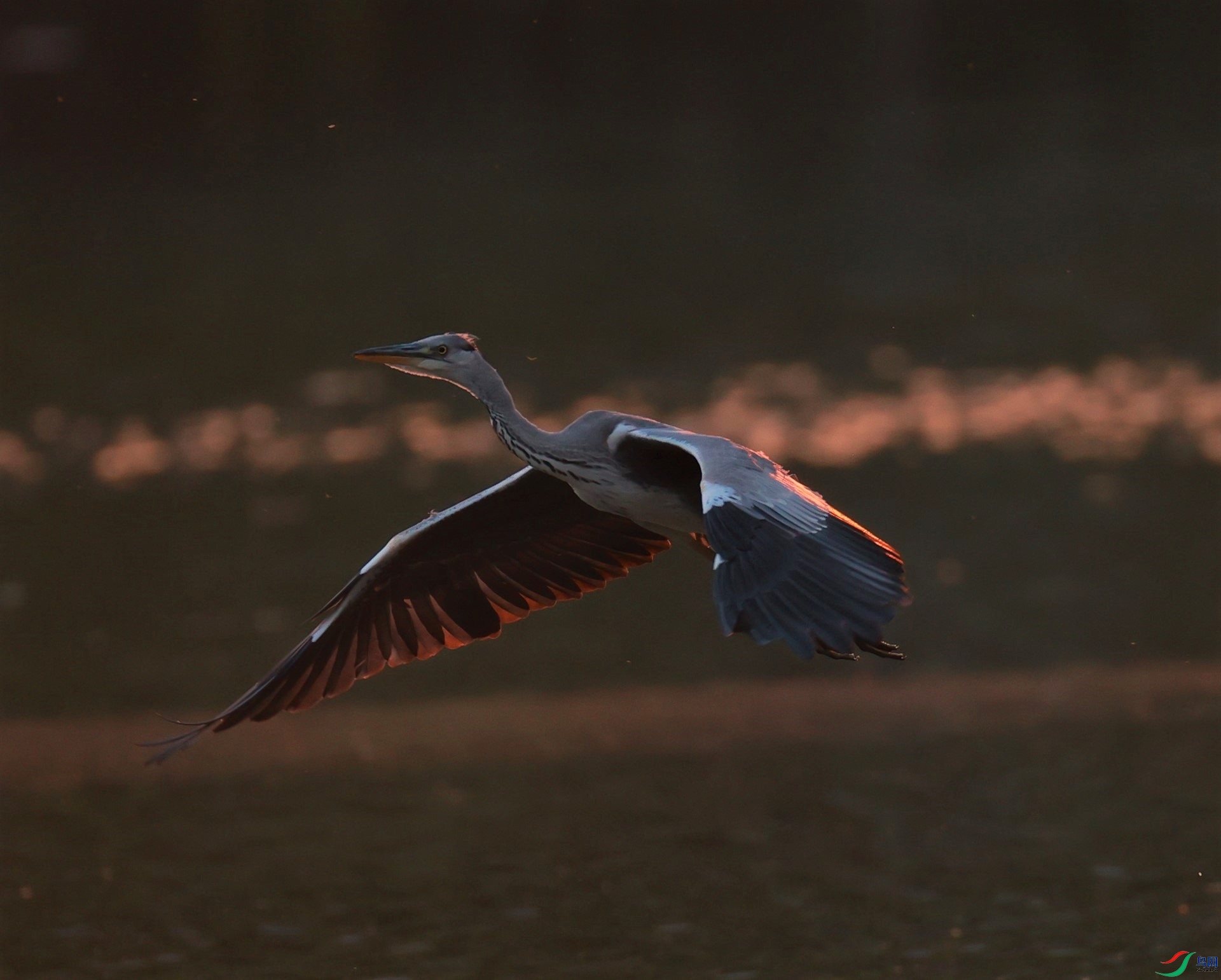 A83I3615 (2).jpg-0.jpg