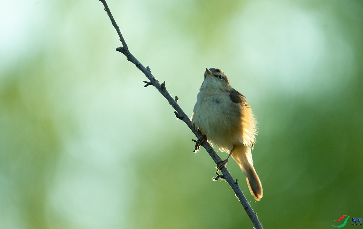 230602 (137).jpg