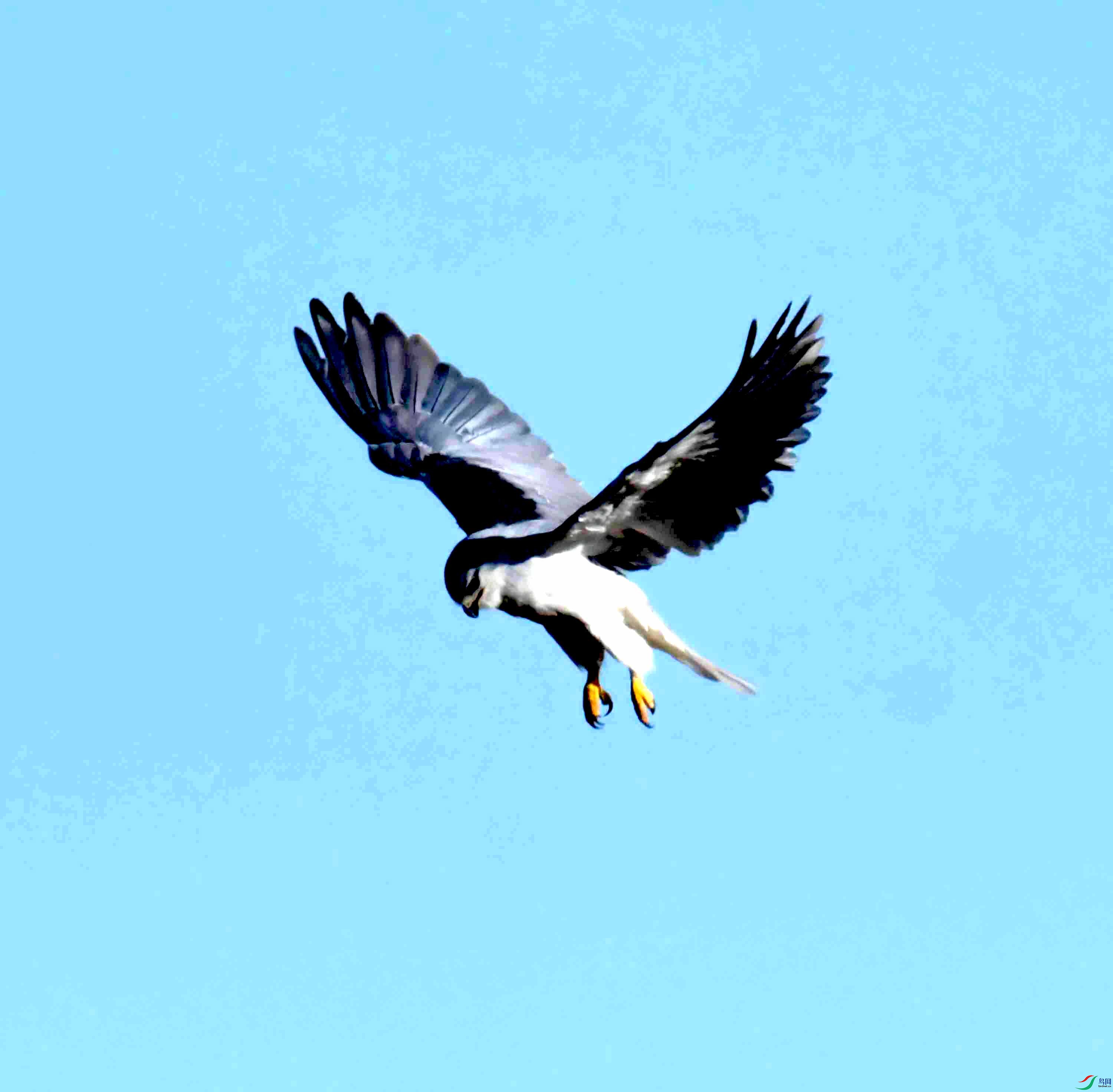 DSC_6973.JPG