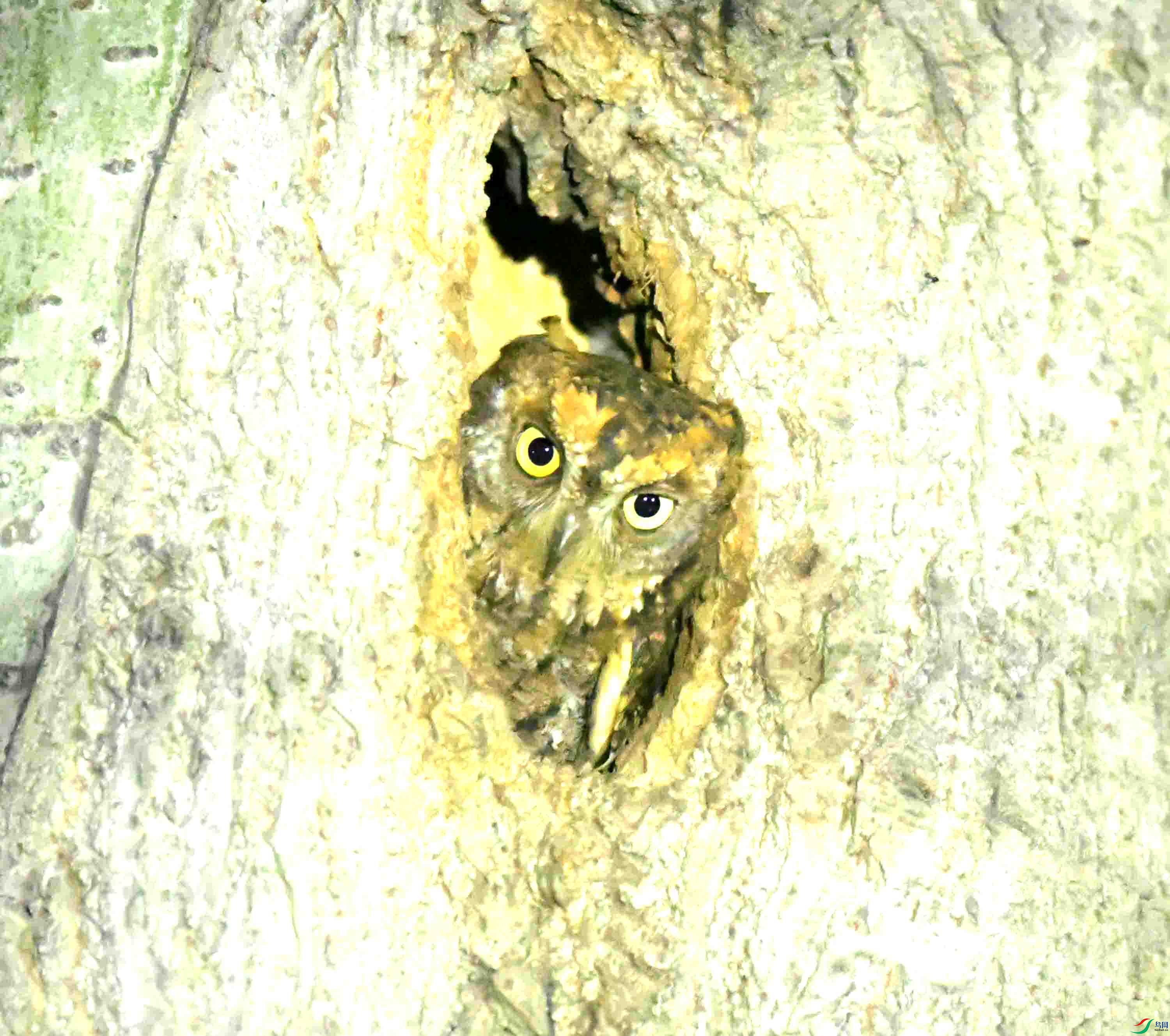 DSC_1005.JPG