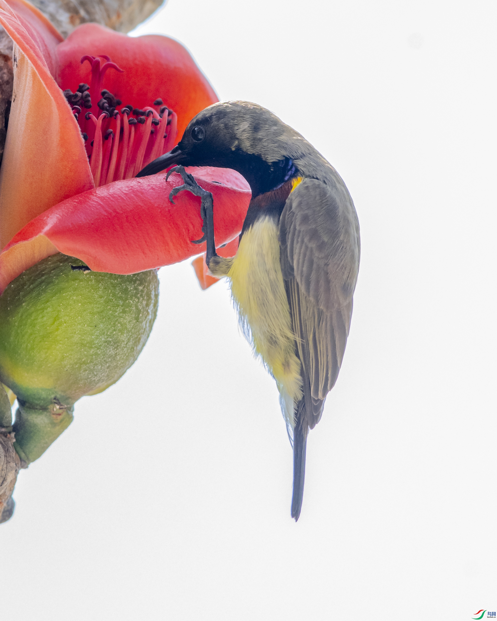 4283 ����.jpg