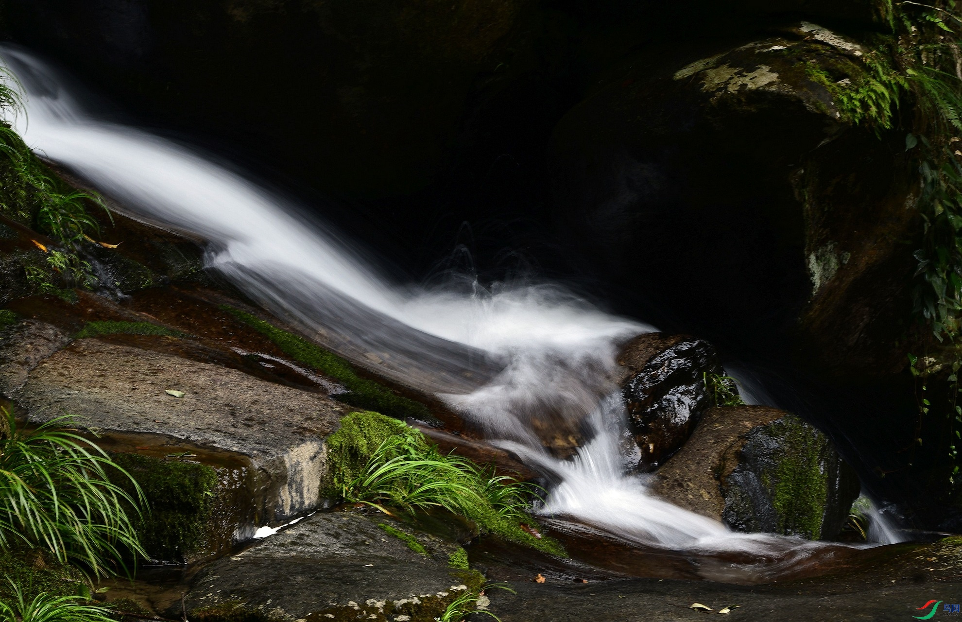 _D5D5845.jpg