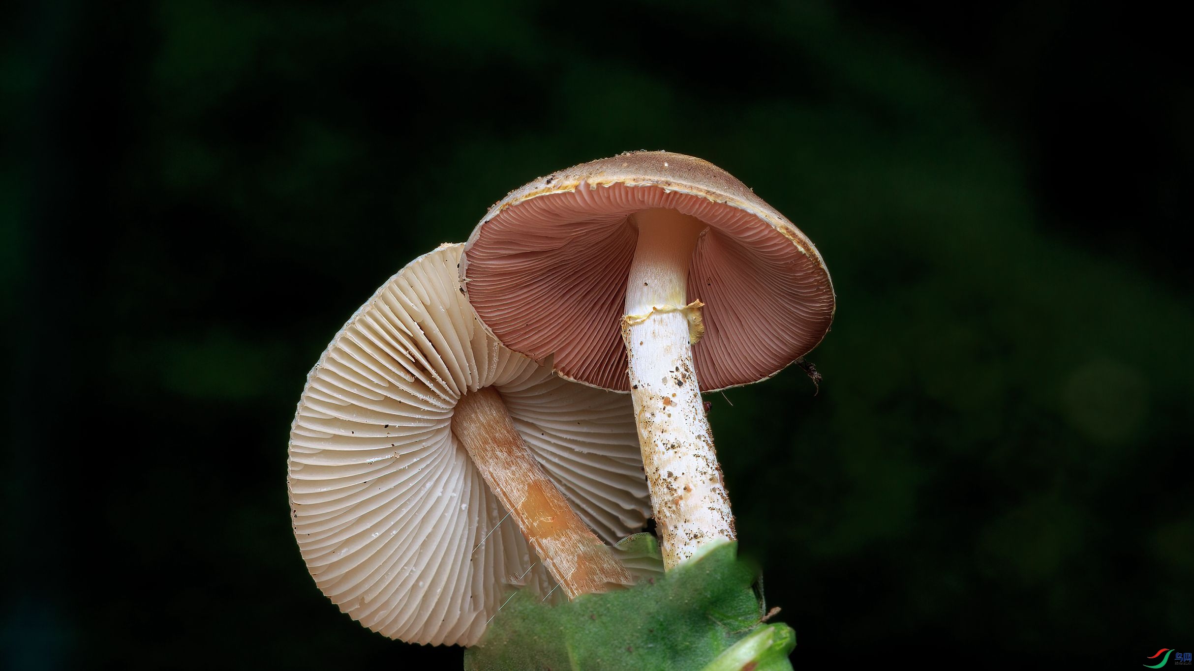 7G9A5202_����.jpg