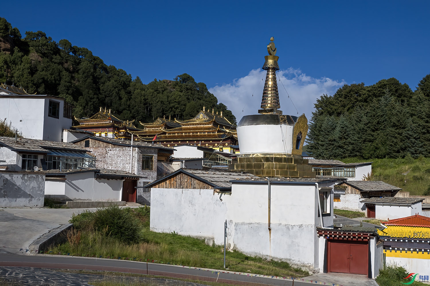 P8270705-��ľ��.jpg