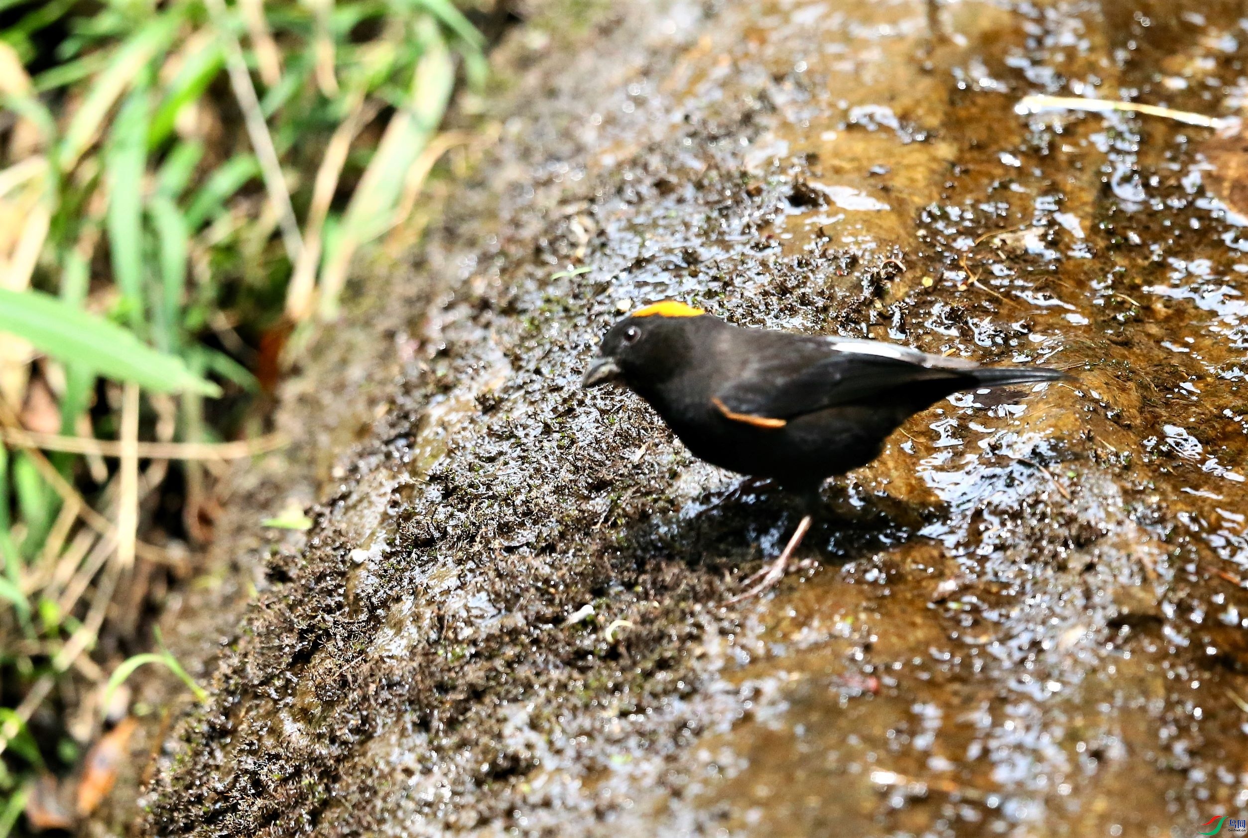 ������ȸ (9).JPG