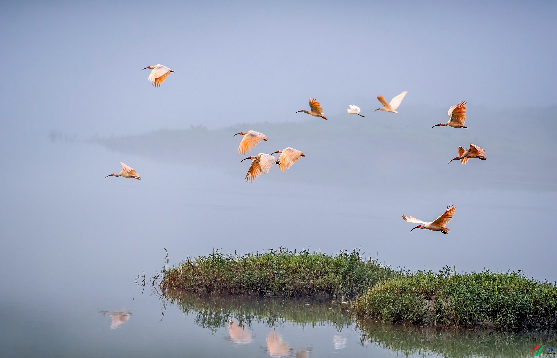 DSC_1387 ����_����.jpg