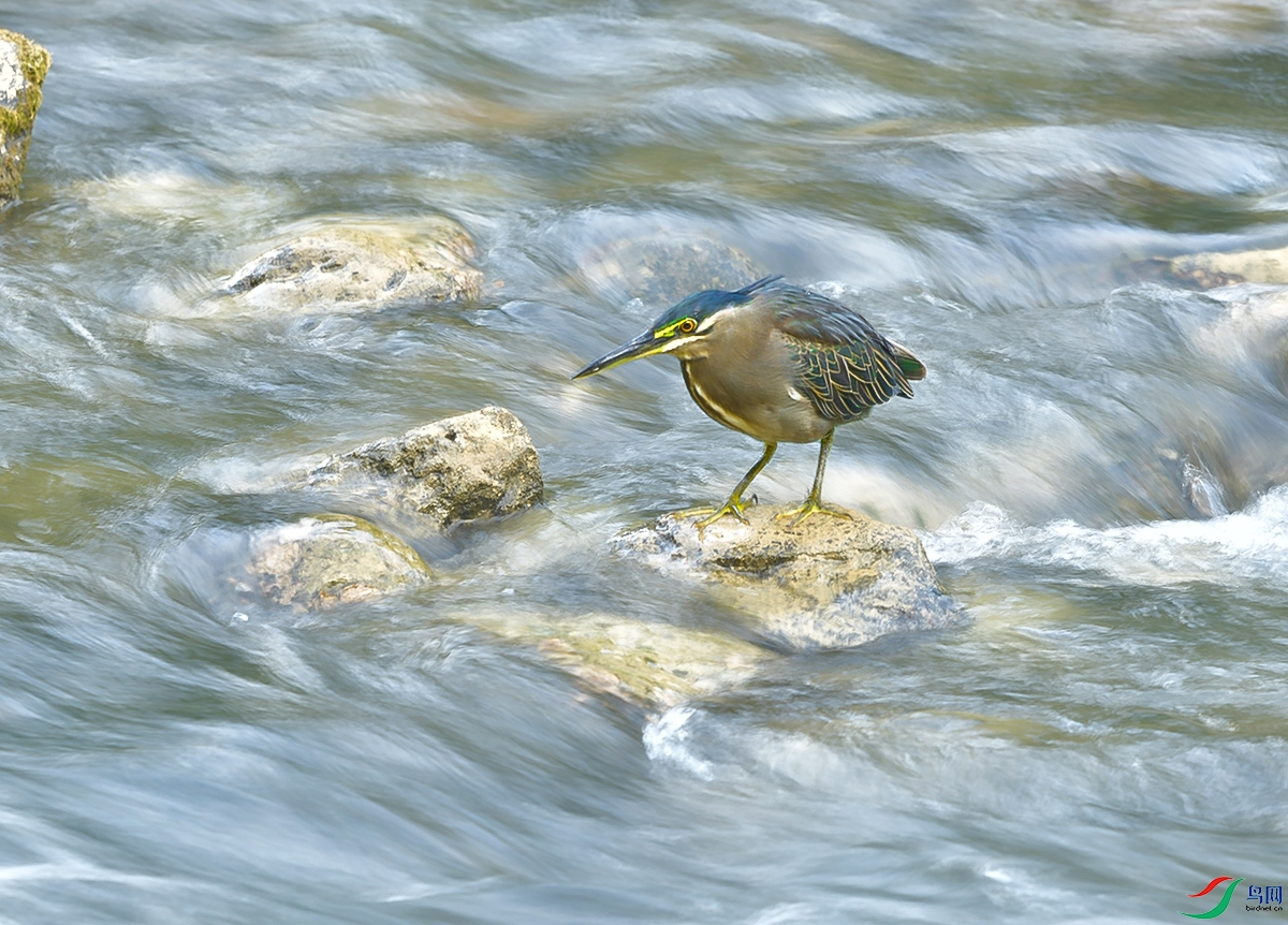 DSC_1625.JPG