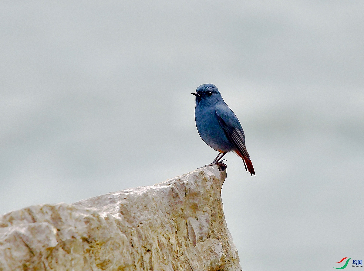 DSC_1409.JPG
