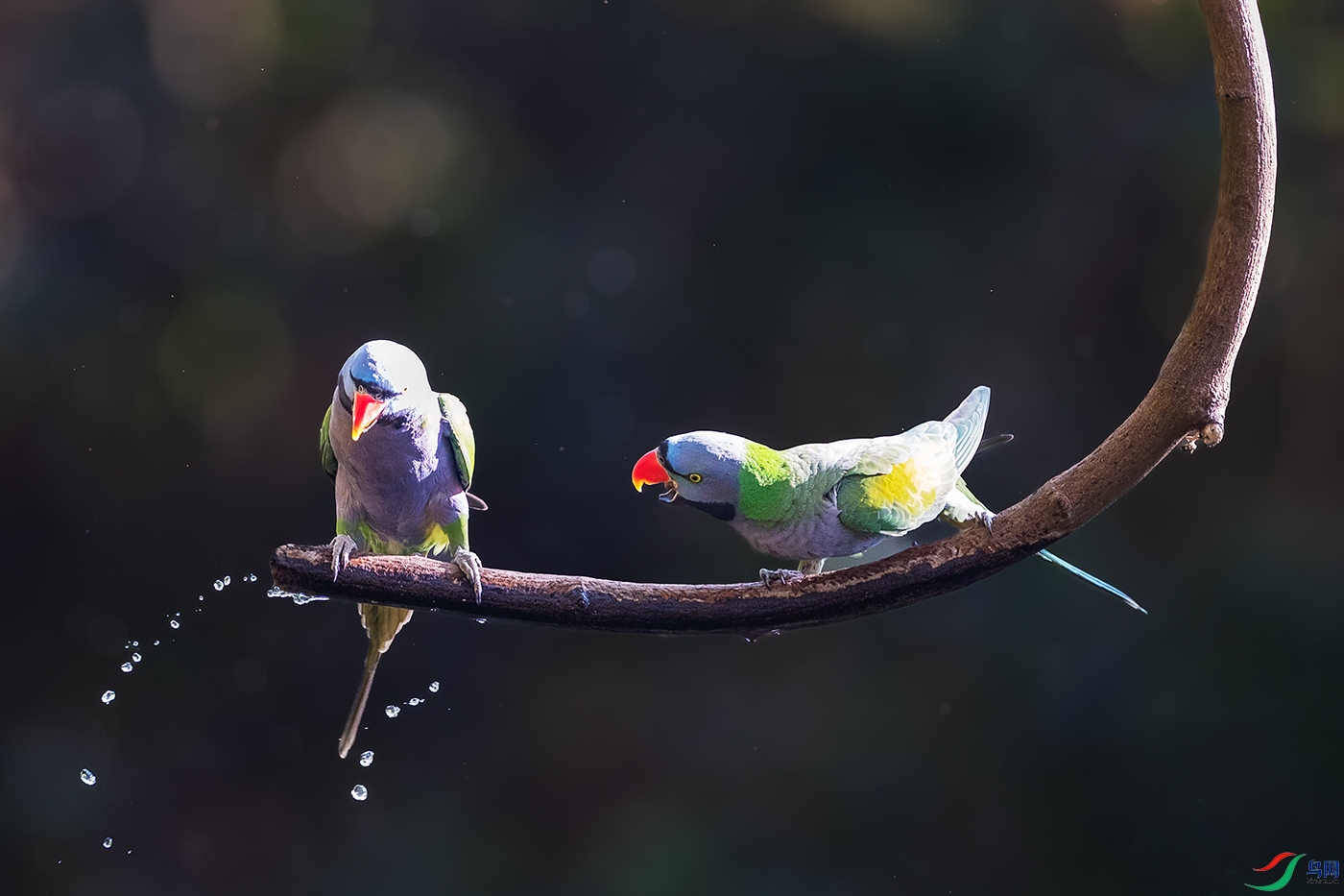 ����������----Ϊ�л�ˮԴͷ��