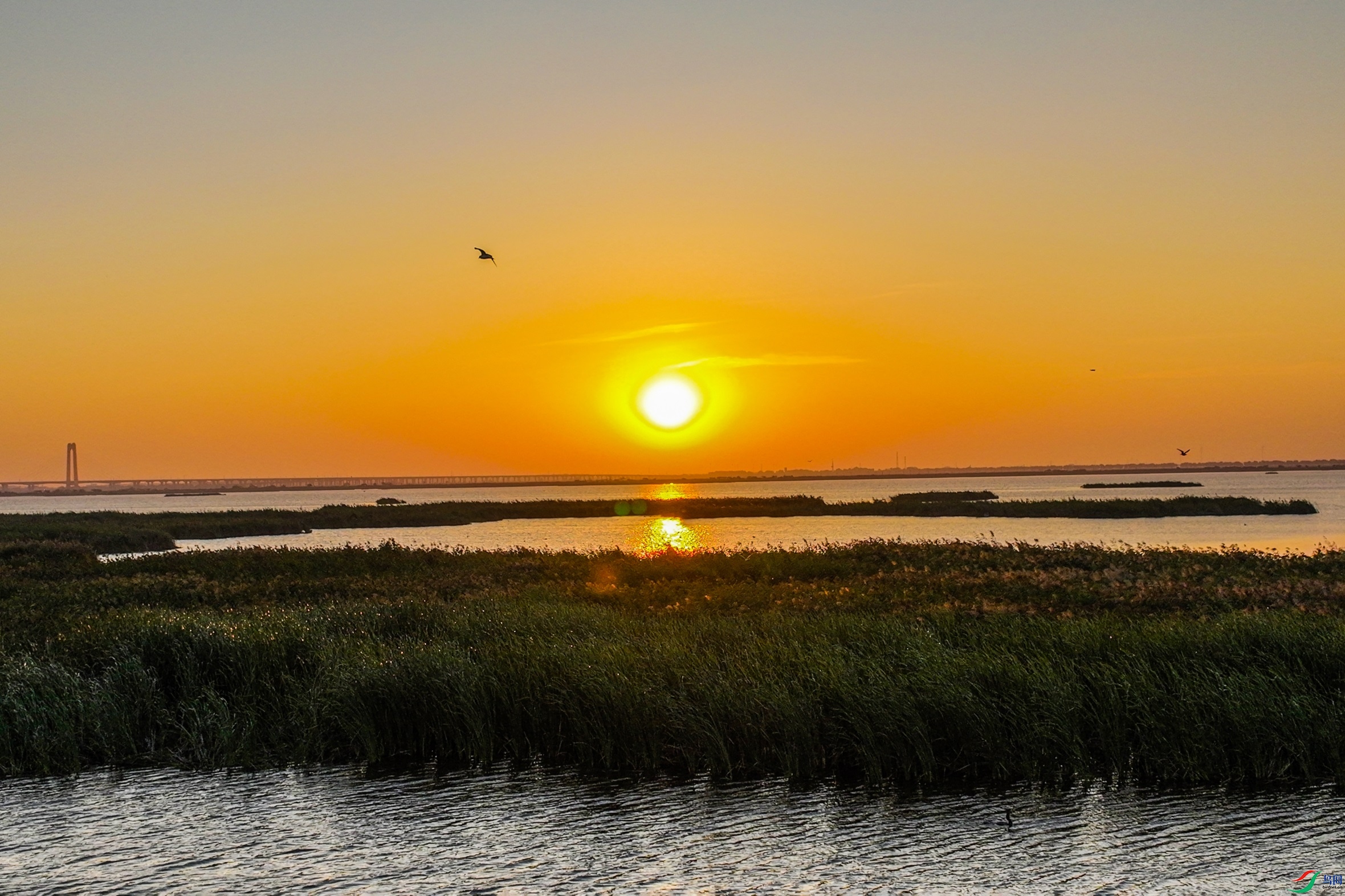 dji_fly_20230903_051708_170_1693736889094_photo ����1.jpg