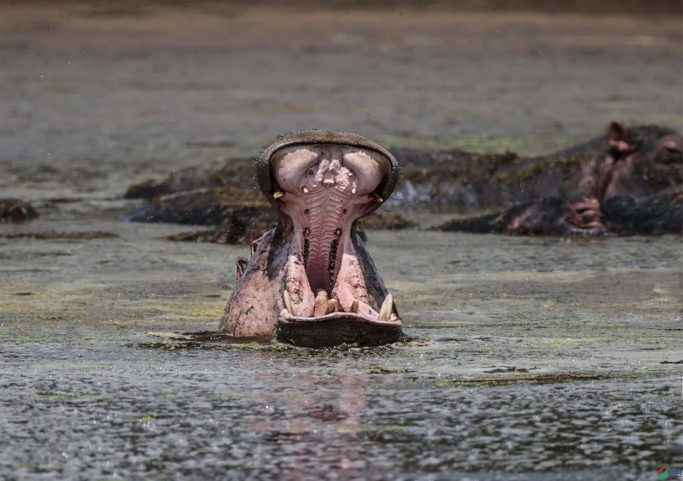 �����ӵ�һ�ԣ��� ����.jpg