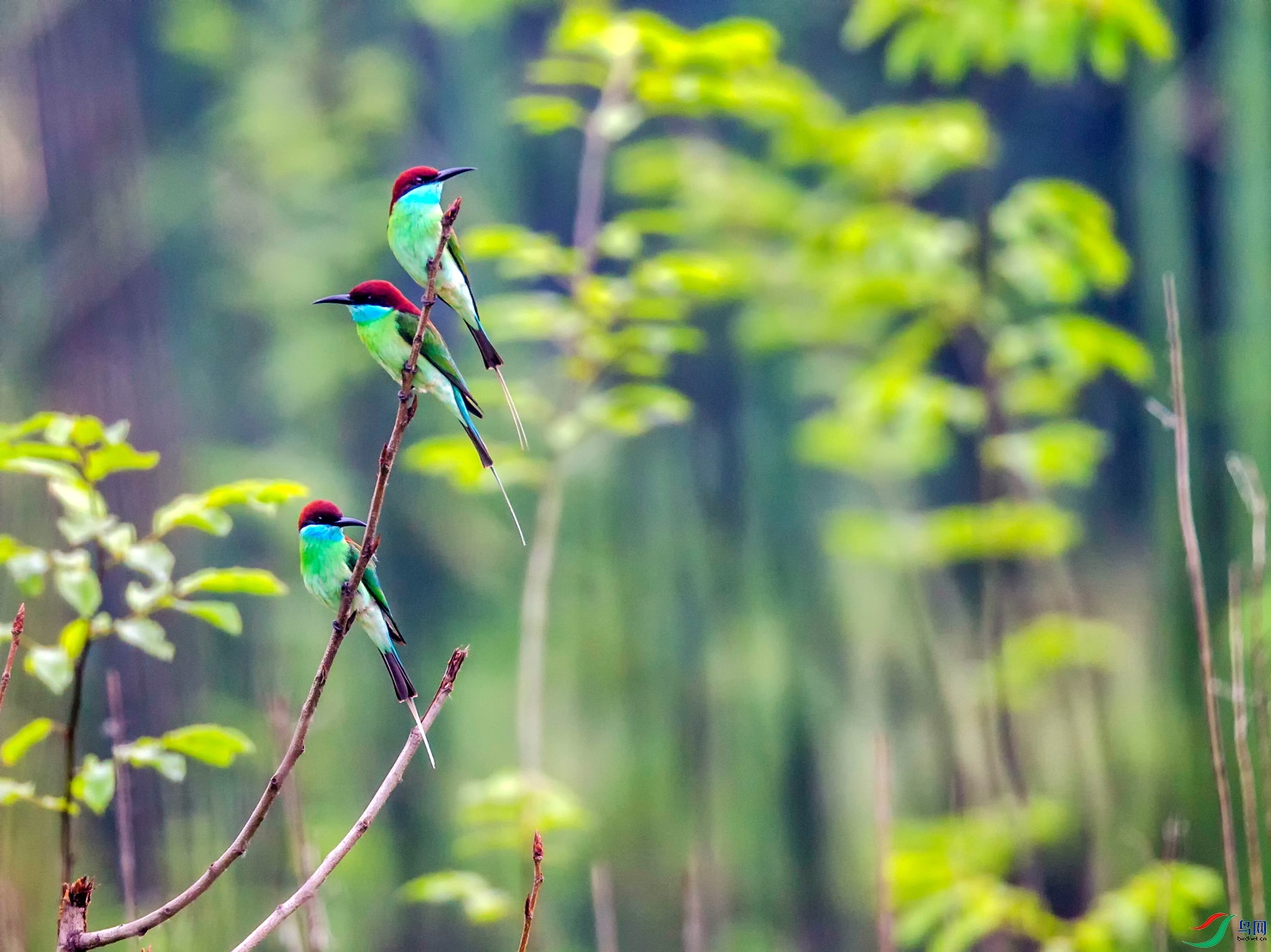 _TAO8571.jpg