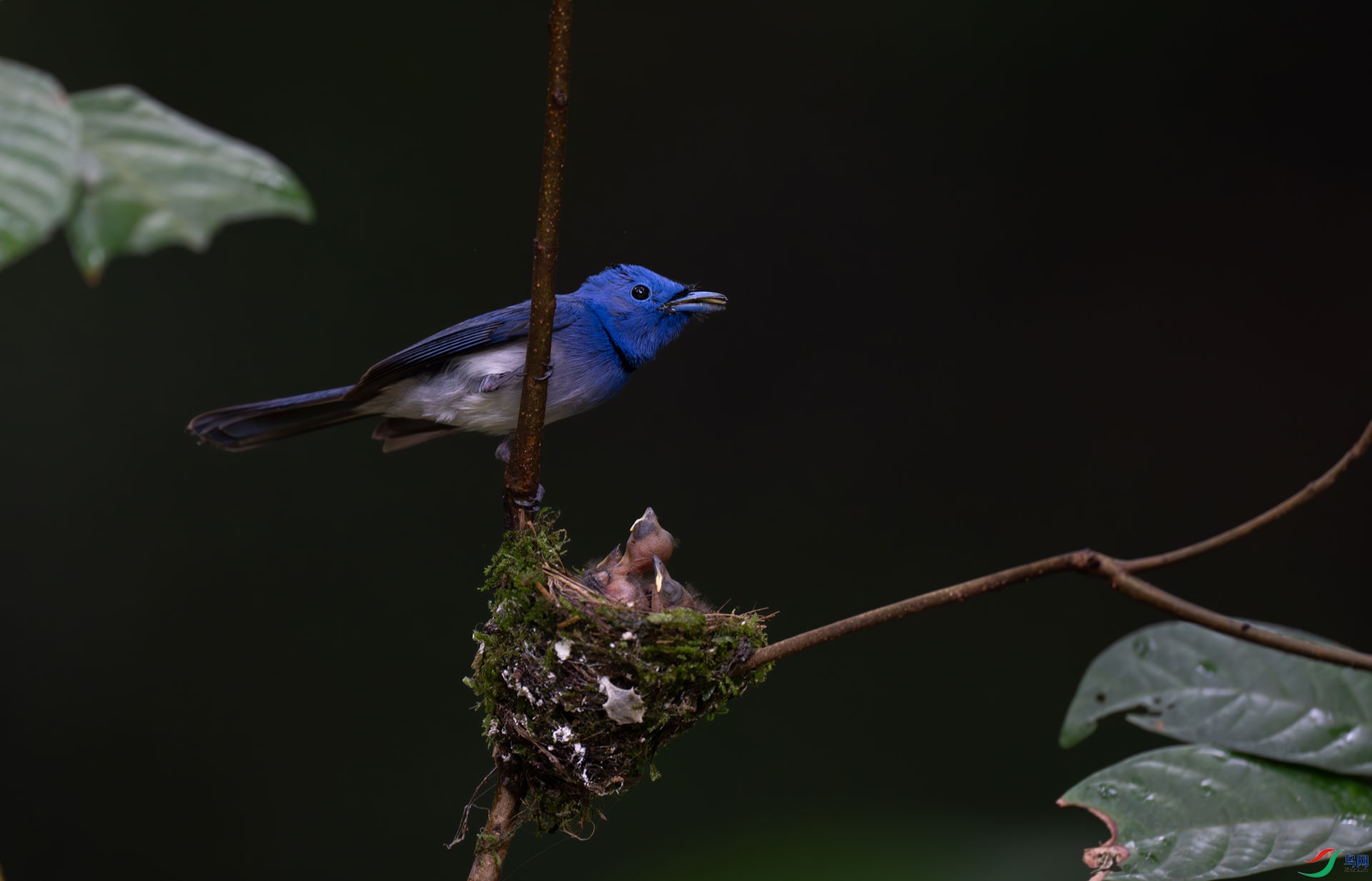 �������l