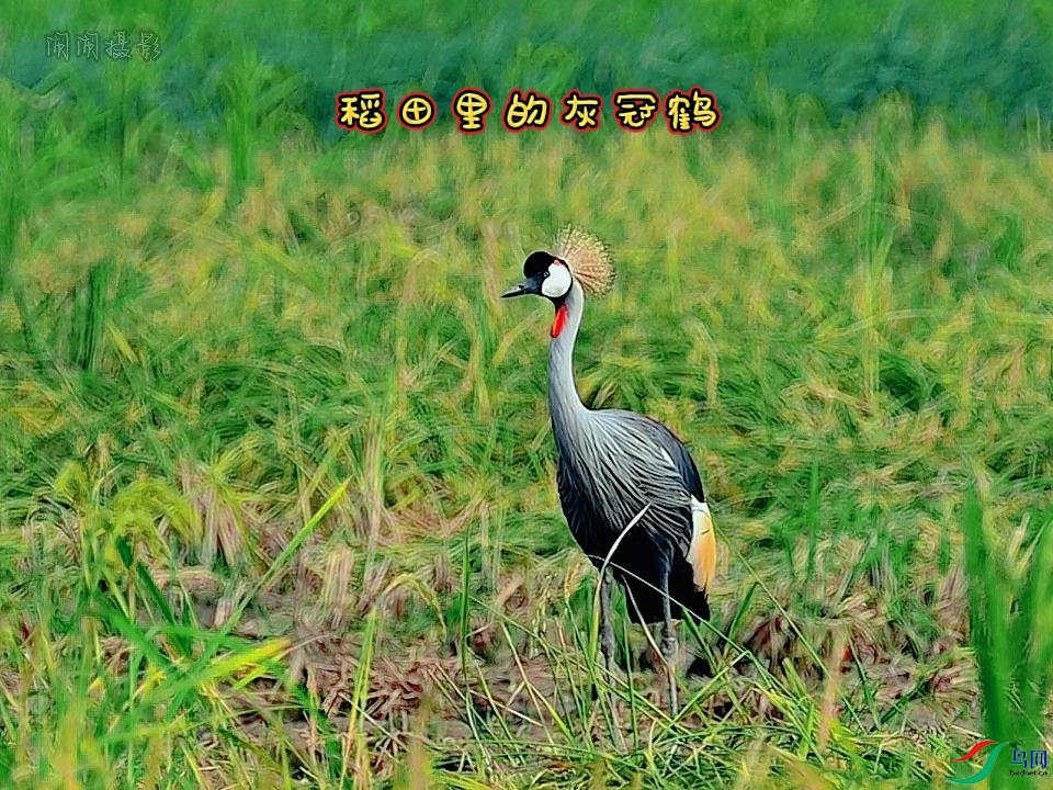 9��3�� (1)(1)-����.jpg