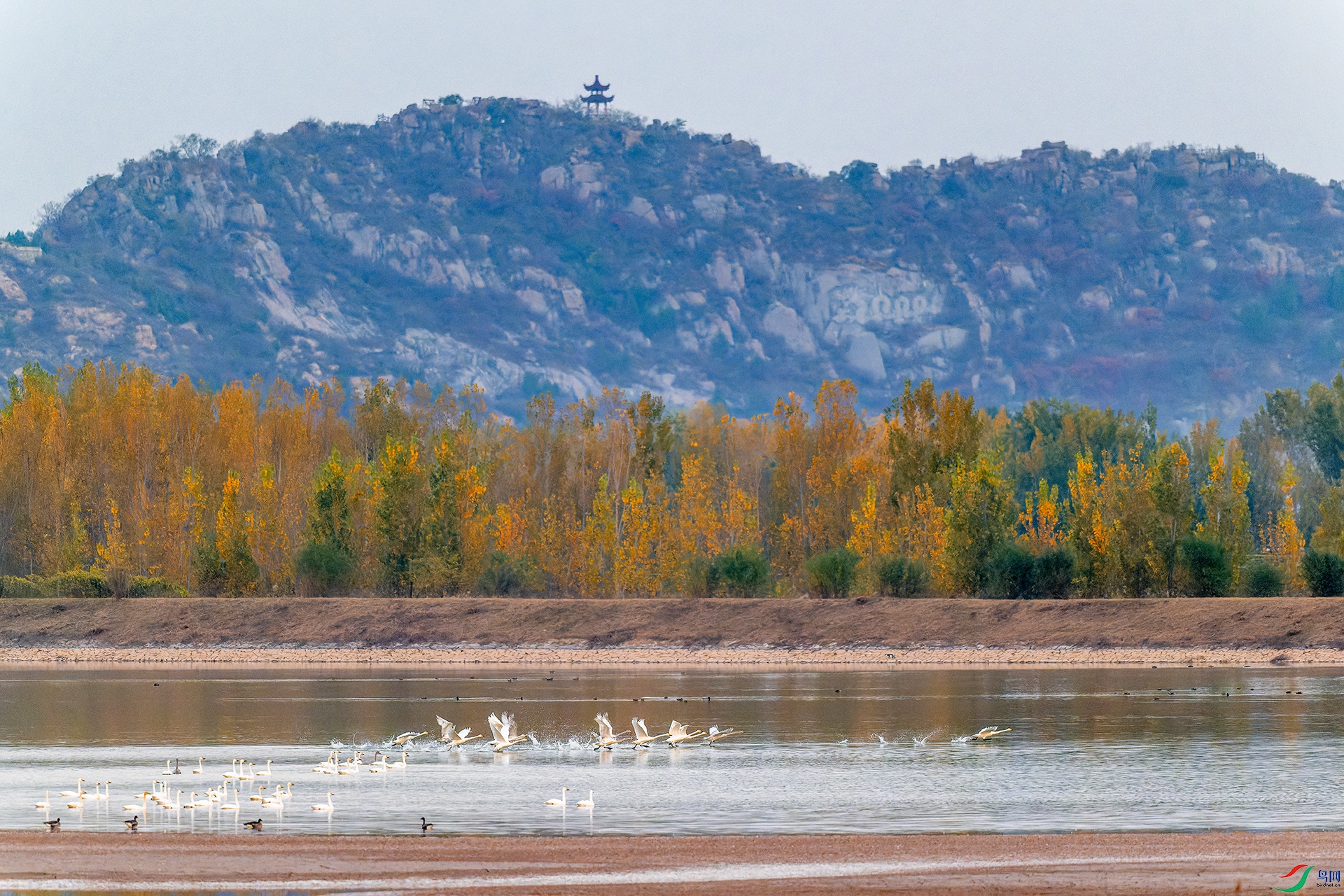 ������ ȵɽ���� С����.jpg