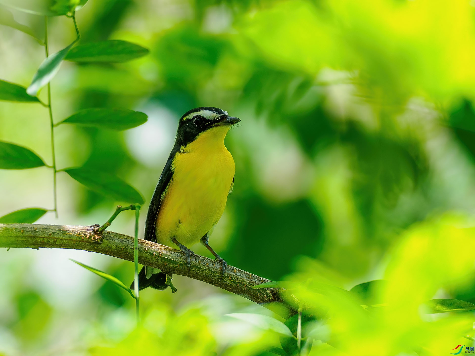 ��ü���l P9010374-denoise-standard.jpg