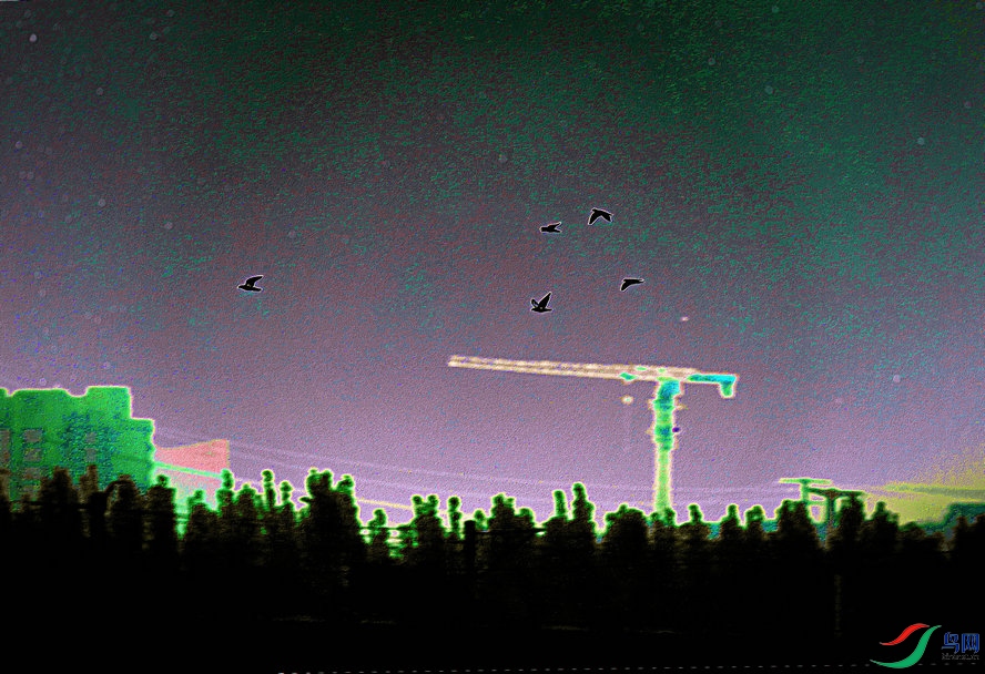 AQ1I5356_����_����.jpg