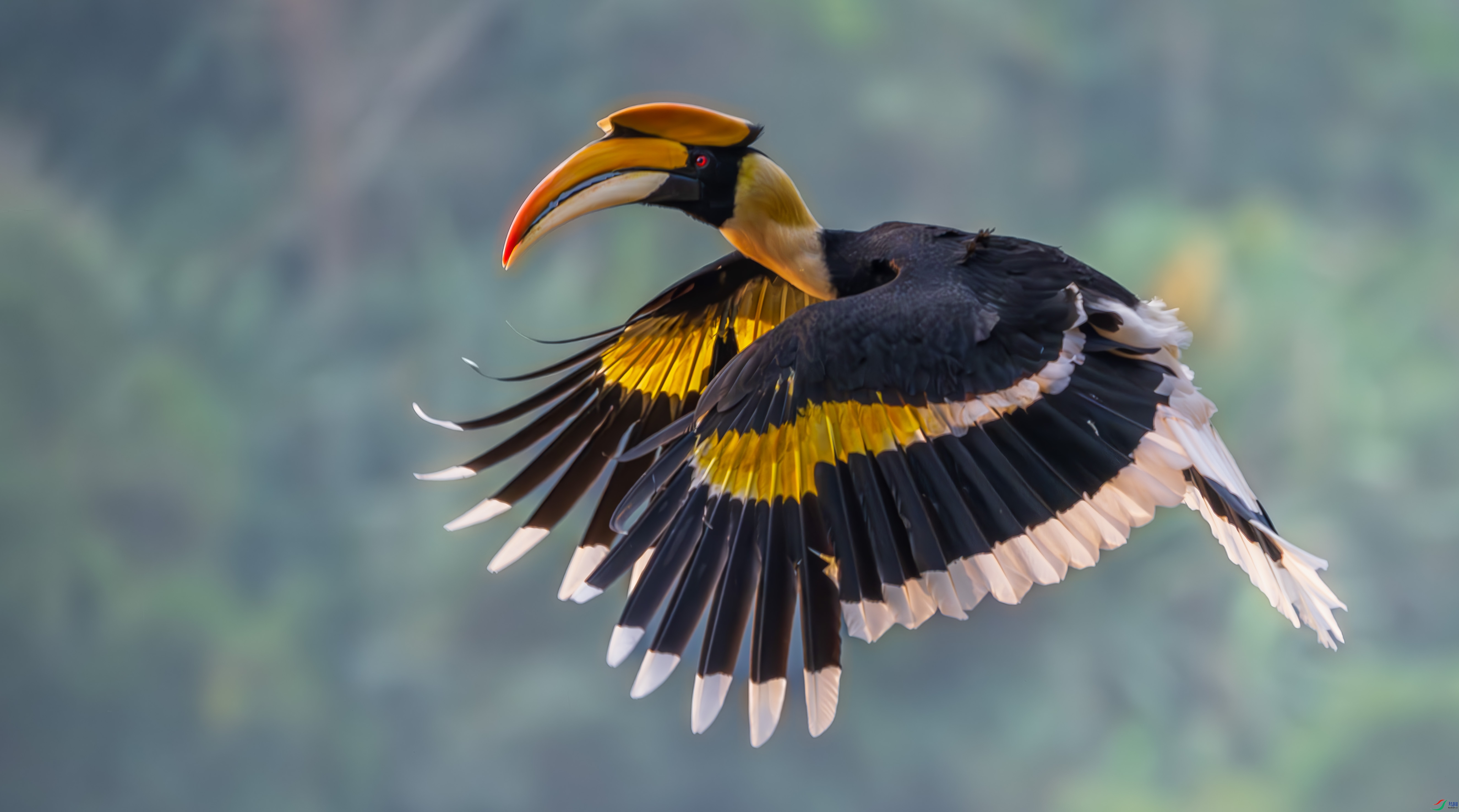 DSC_4503-2.jpg