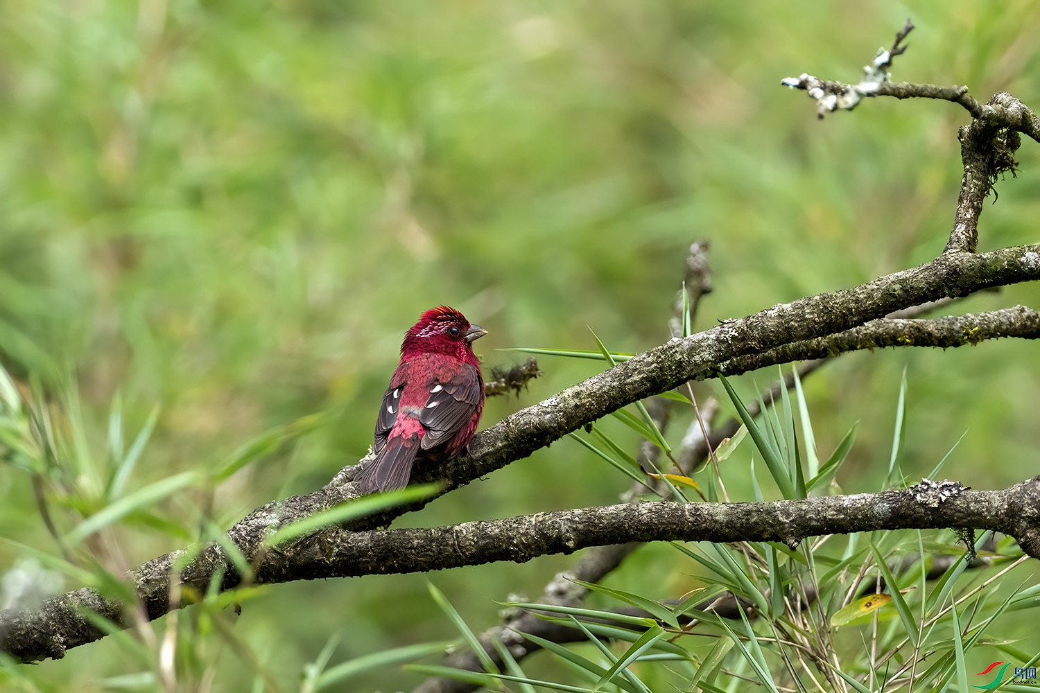 P7100552-�ƺ���ȸ.jpg