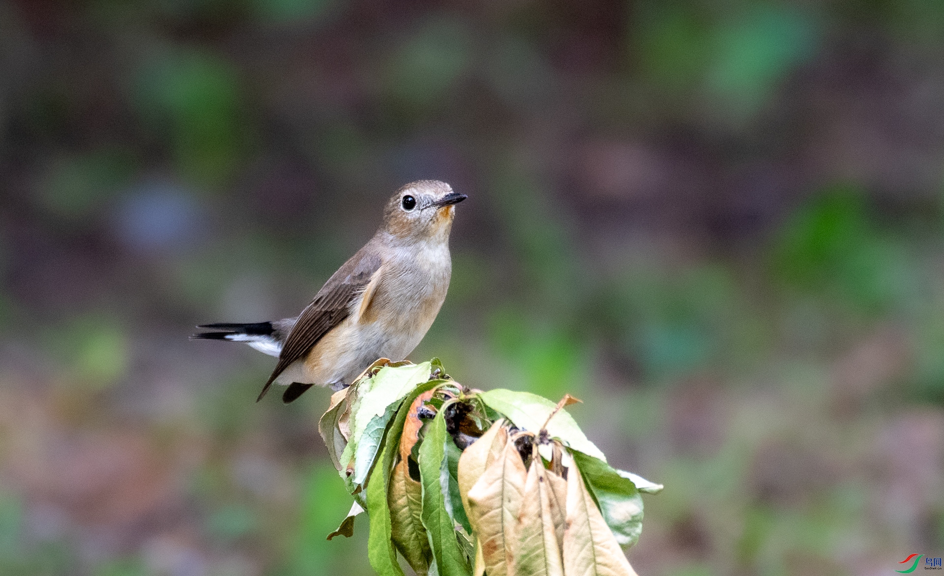 DSC_9758.jpg
