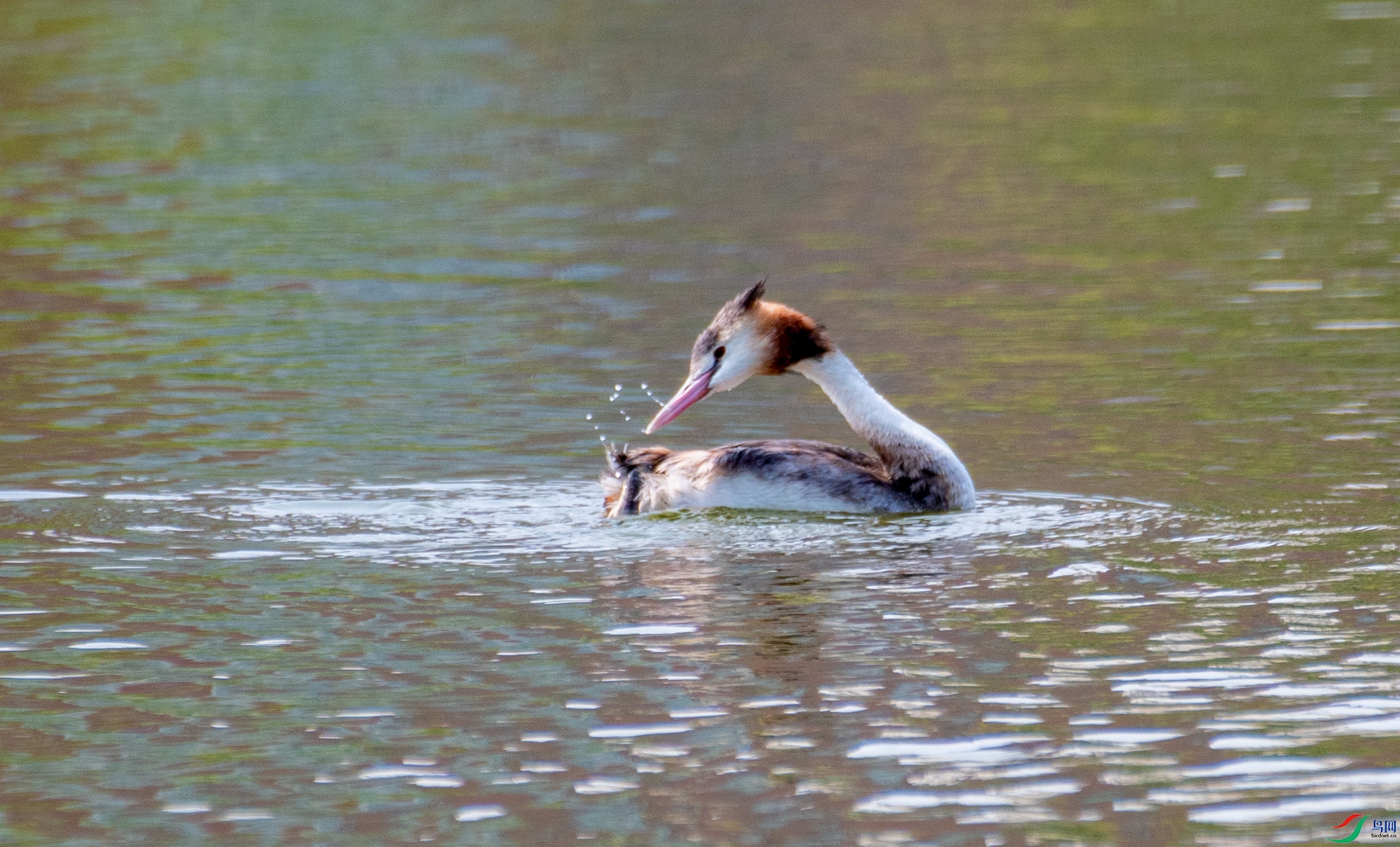 DSC_9660.jpg