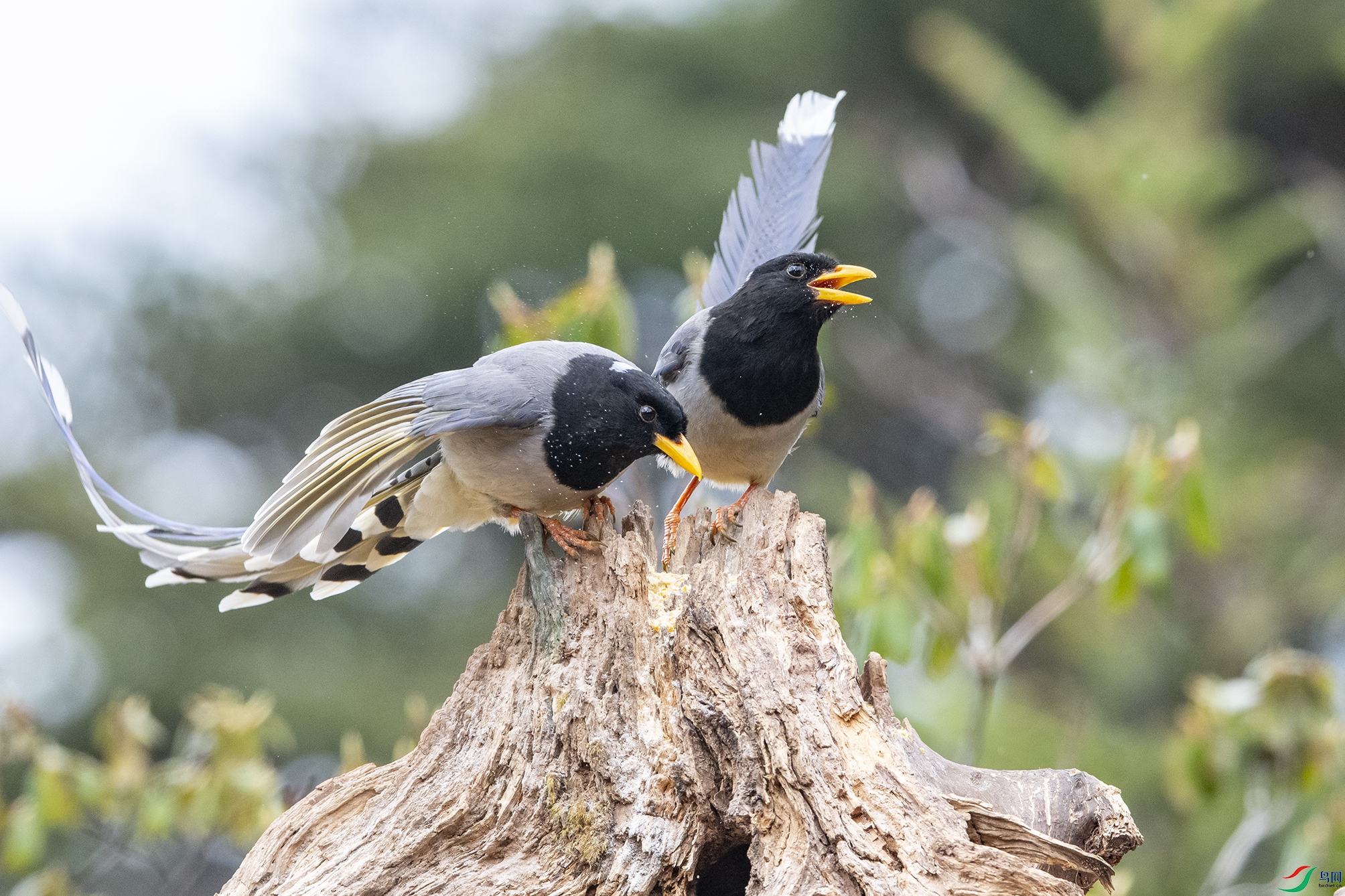 5652 ����.jpg