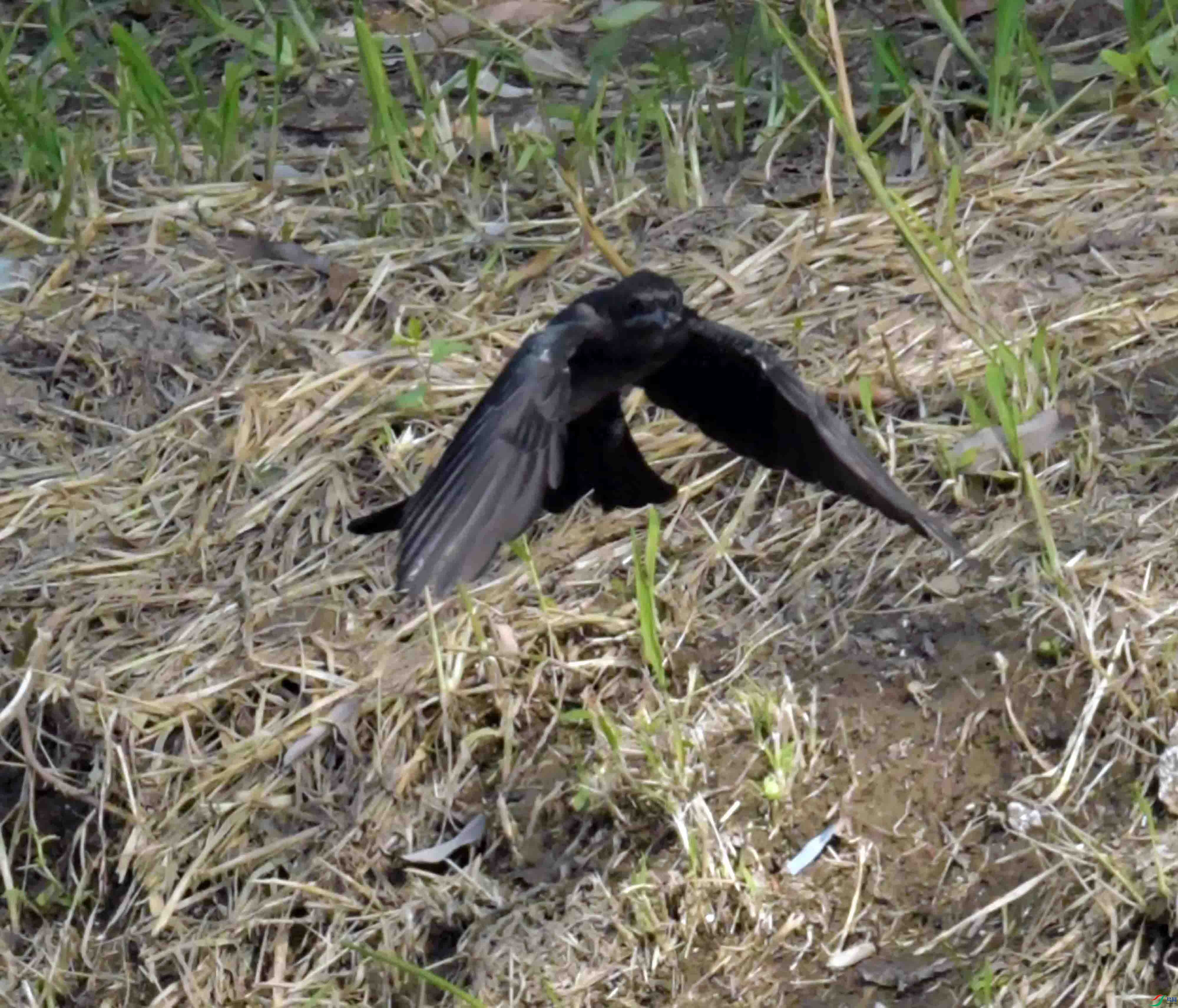 DSC_5752.JPG