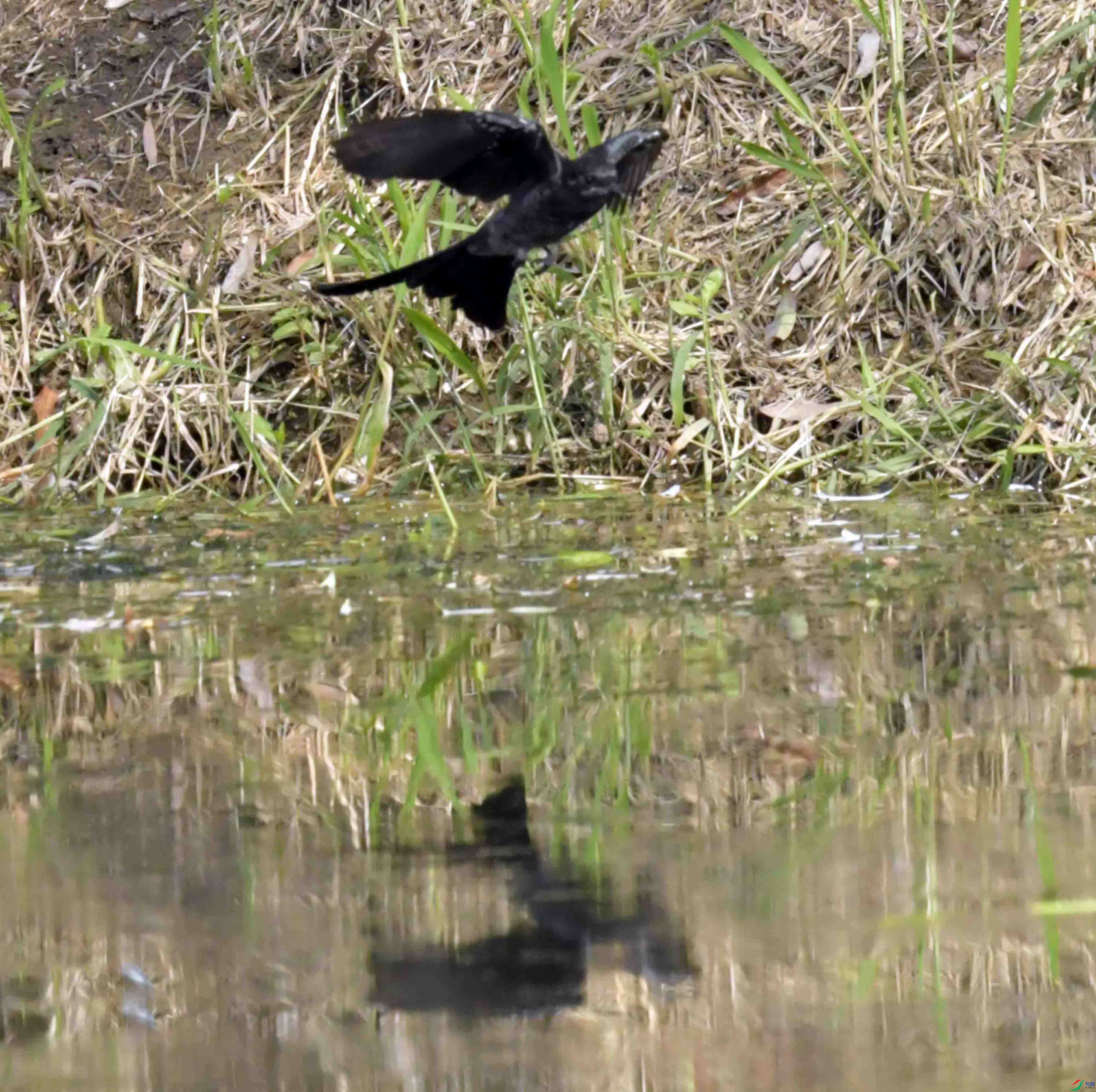 DSC_5755.JPG