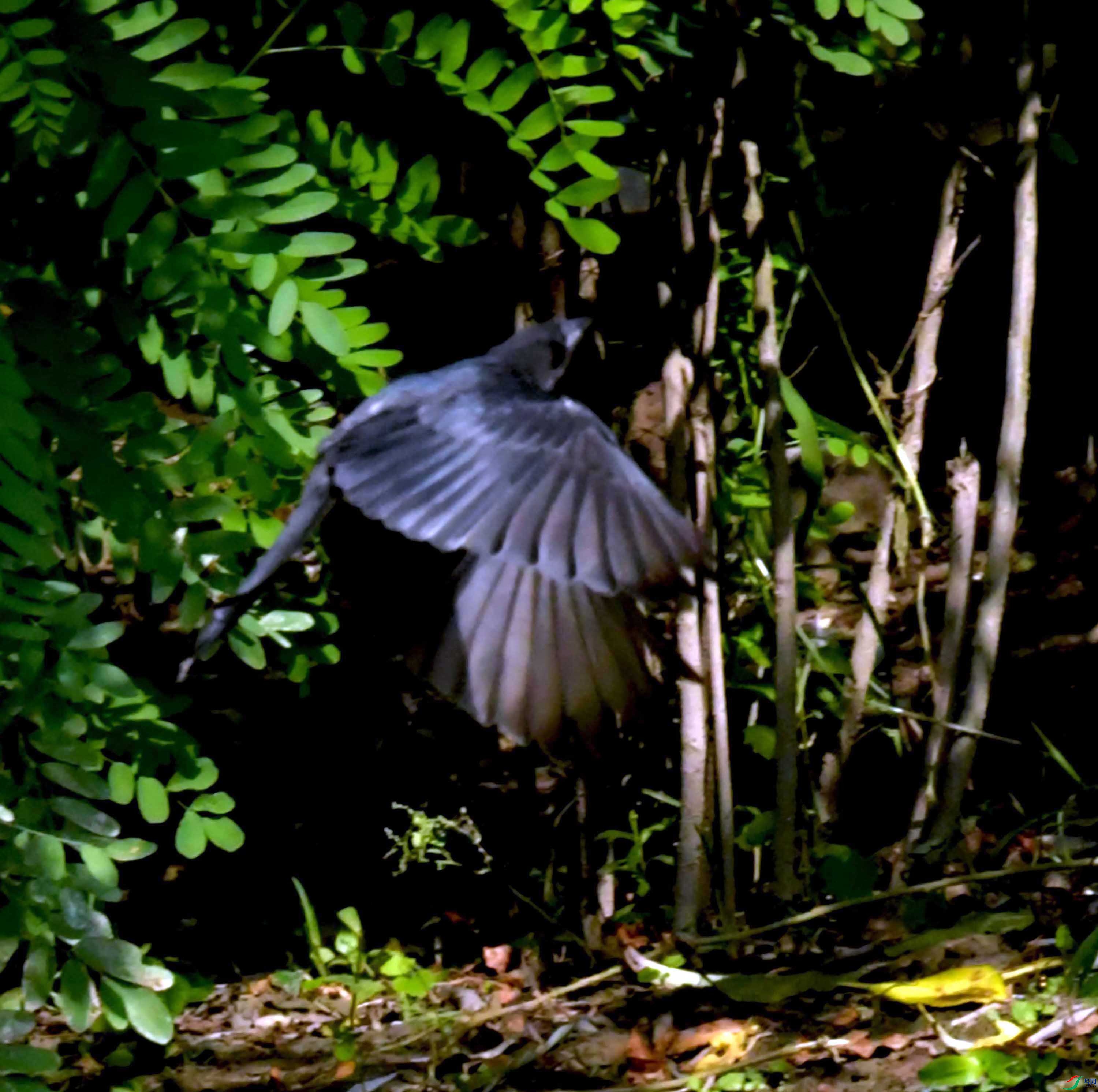 DSC_5757.JPG