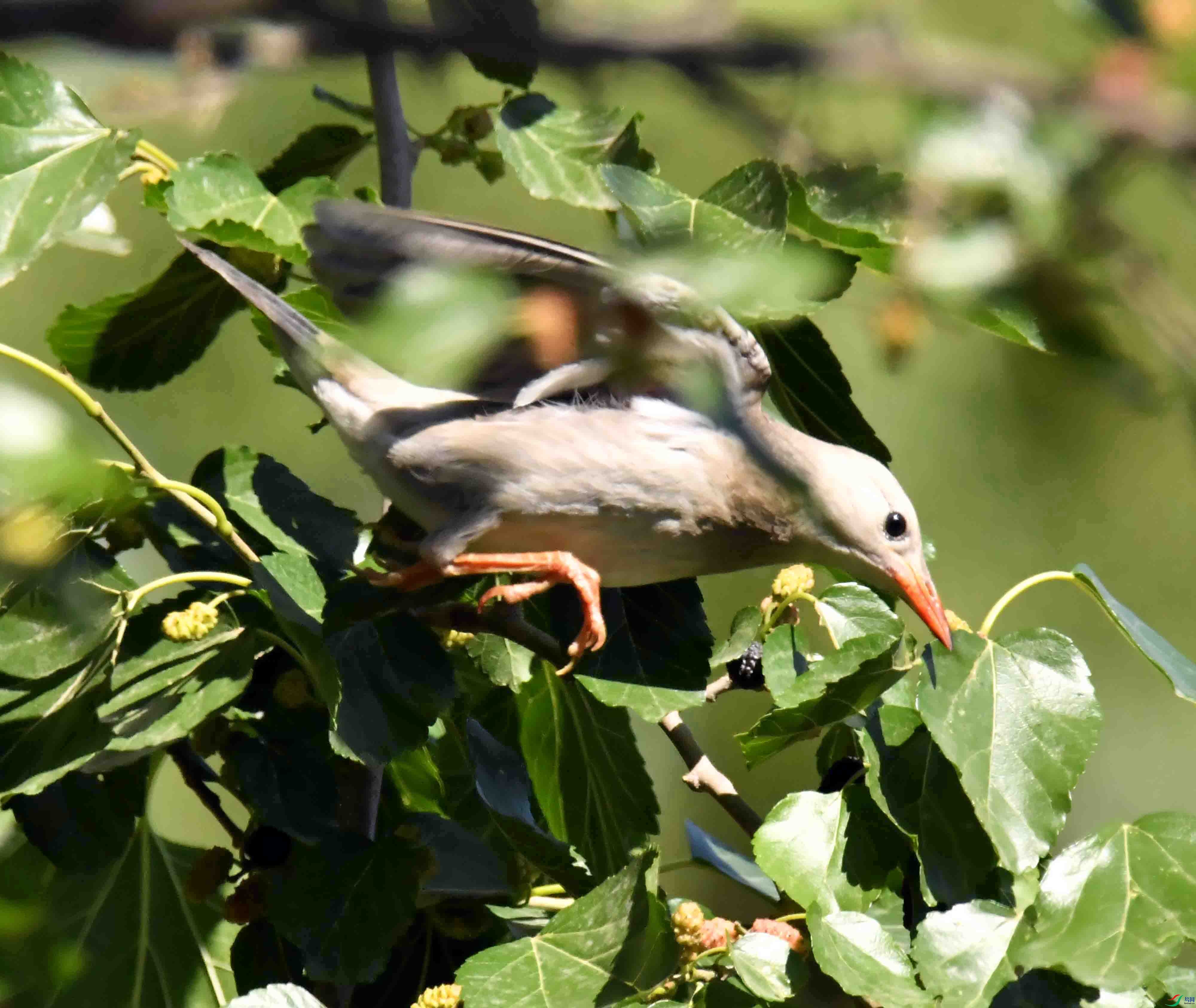 DSC_3597.JPG