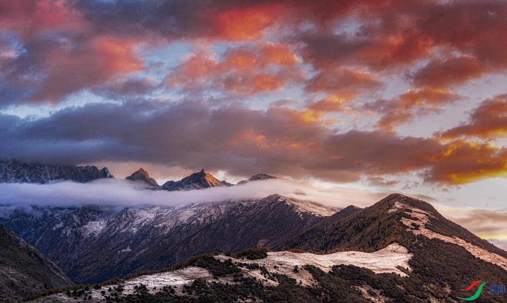 è����ɽ�Ĳ�ϼ����