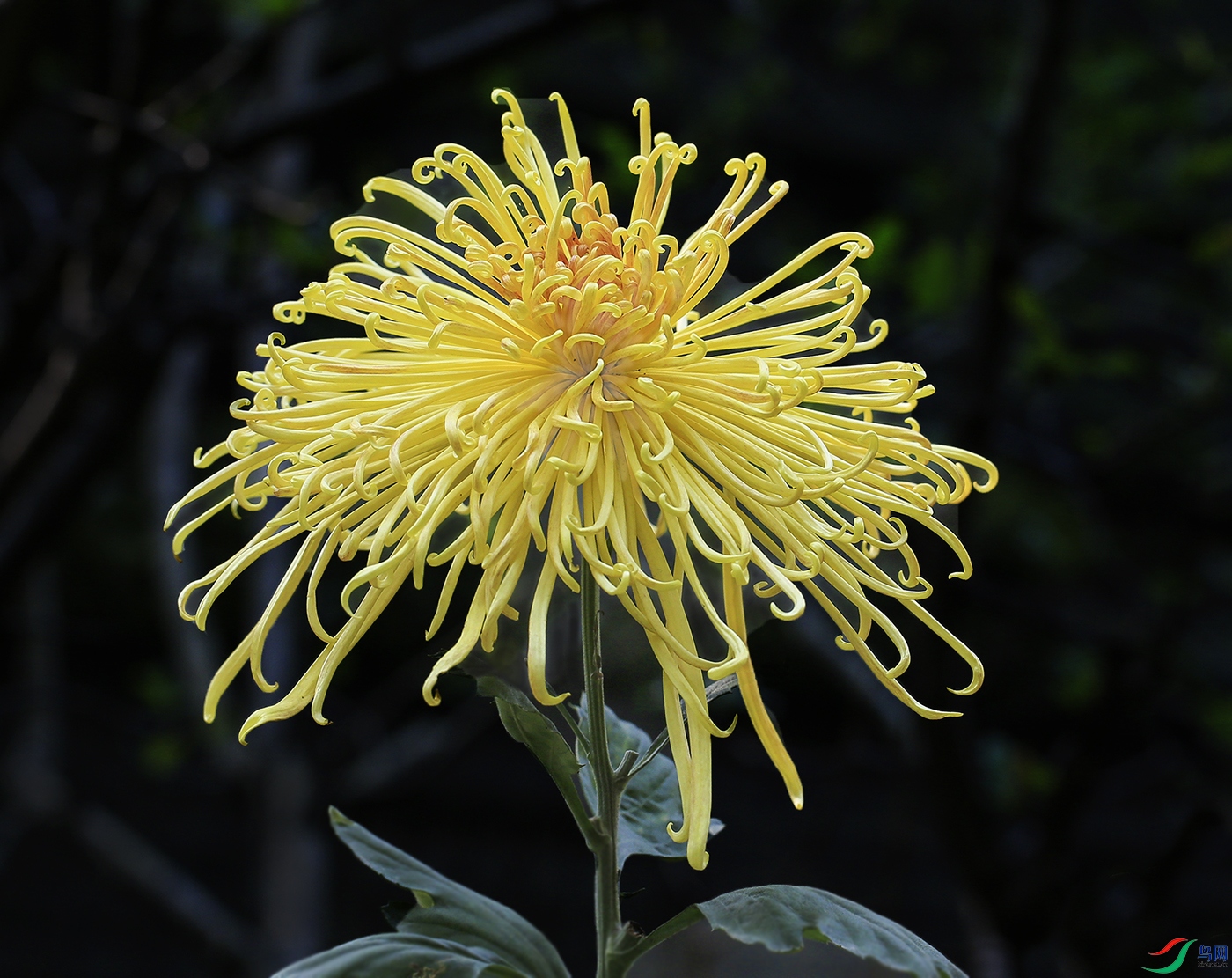 0017658322U9A0935�� 1000k.jpg