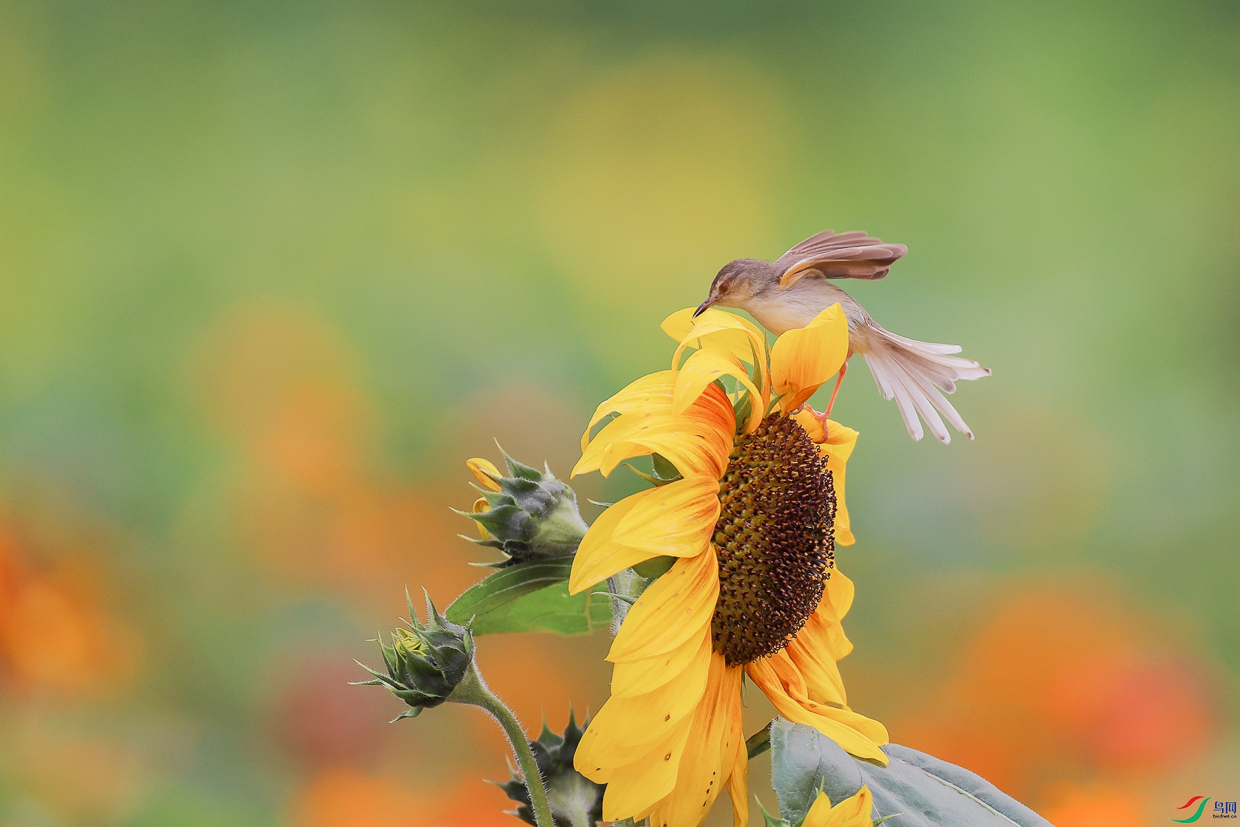 1M6A8851 ����_����.jpg