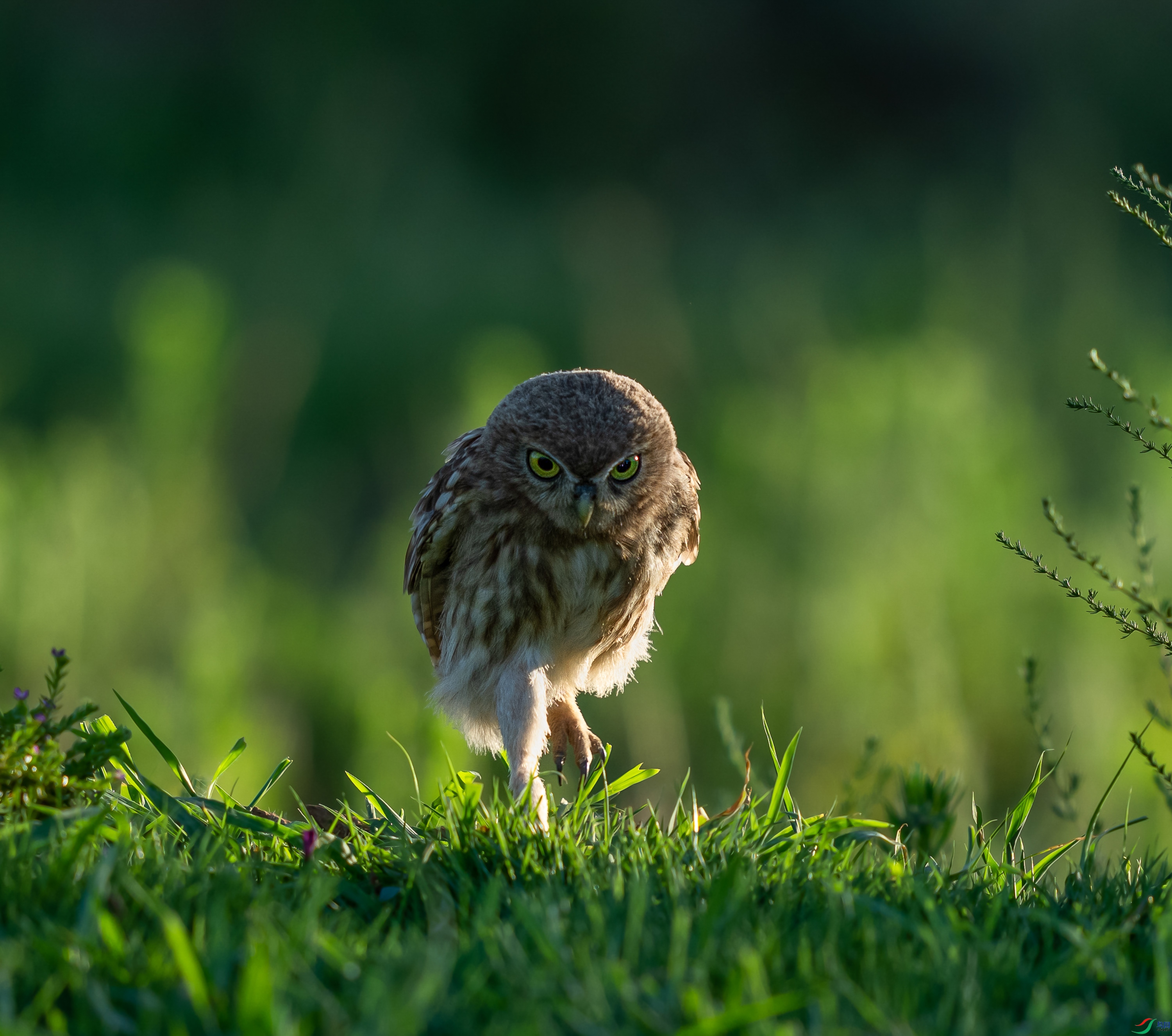 DSC09266�޸��޸�.JPG