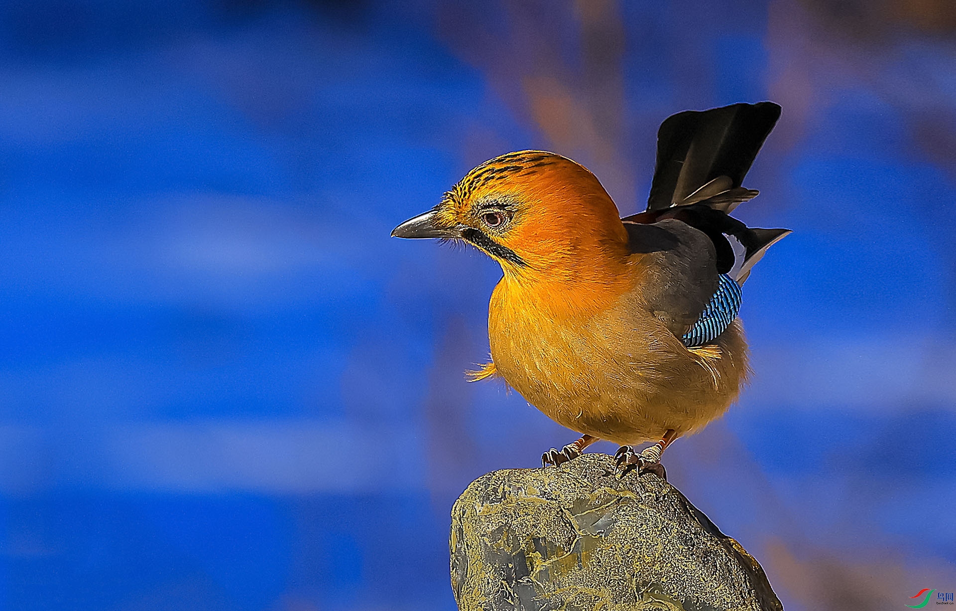 5Z0A7142 ����.jpg