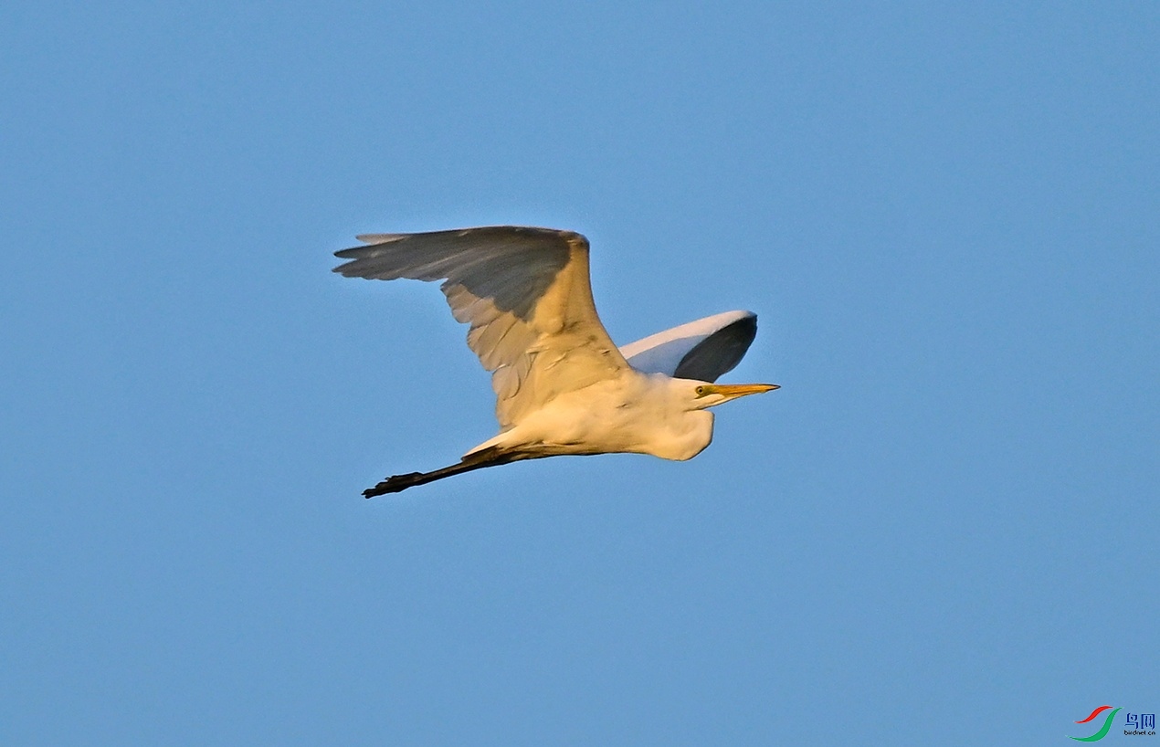 _DSC1260f �ɰ����_��ͼ��.jpg